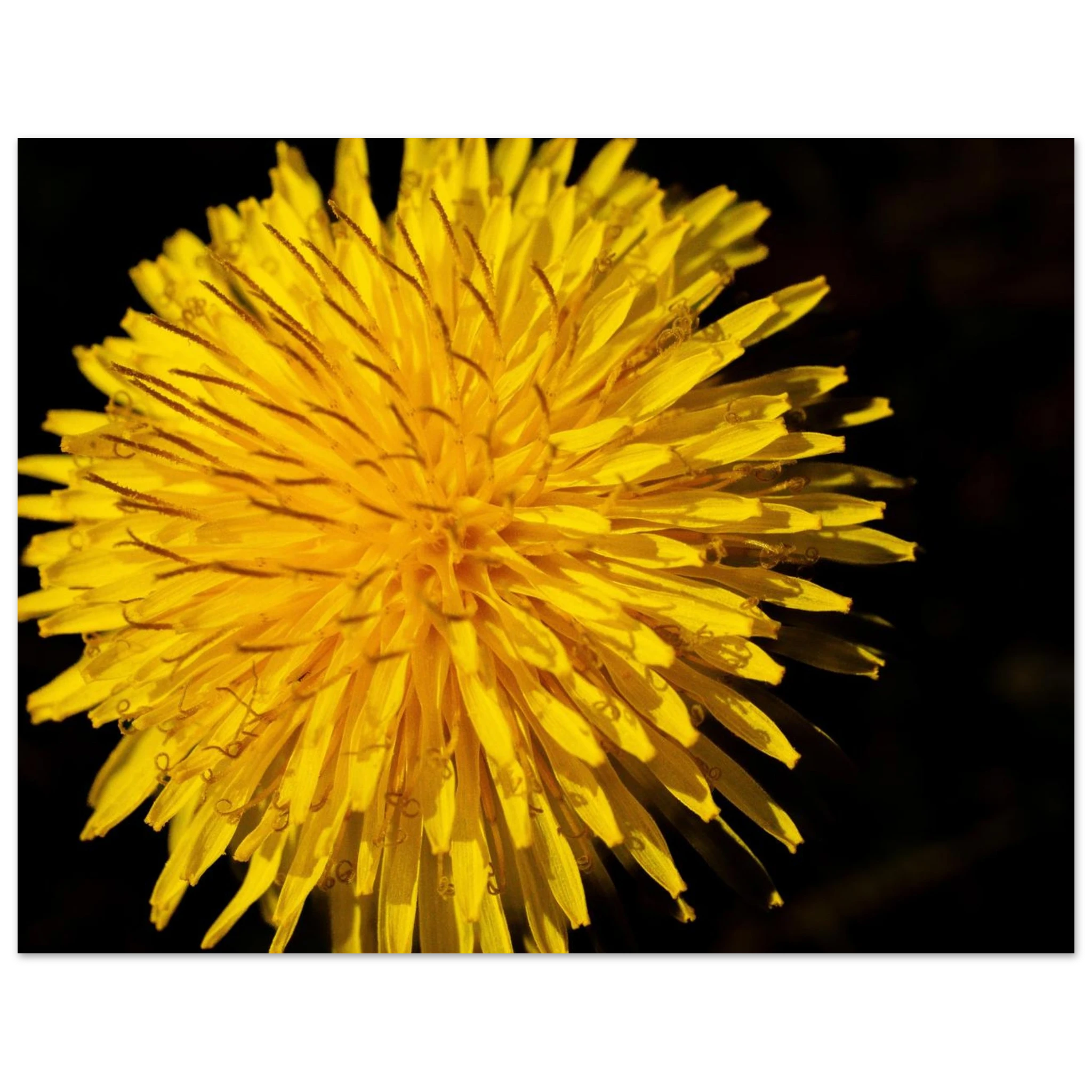 6dabf7ab-d252-4ea0-9206-2f2756646f1c