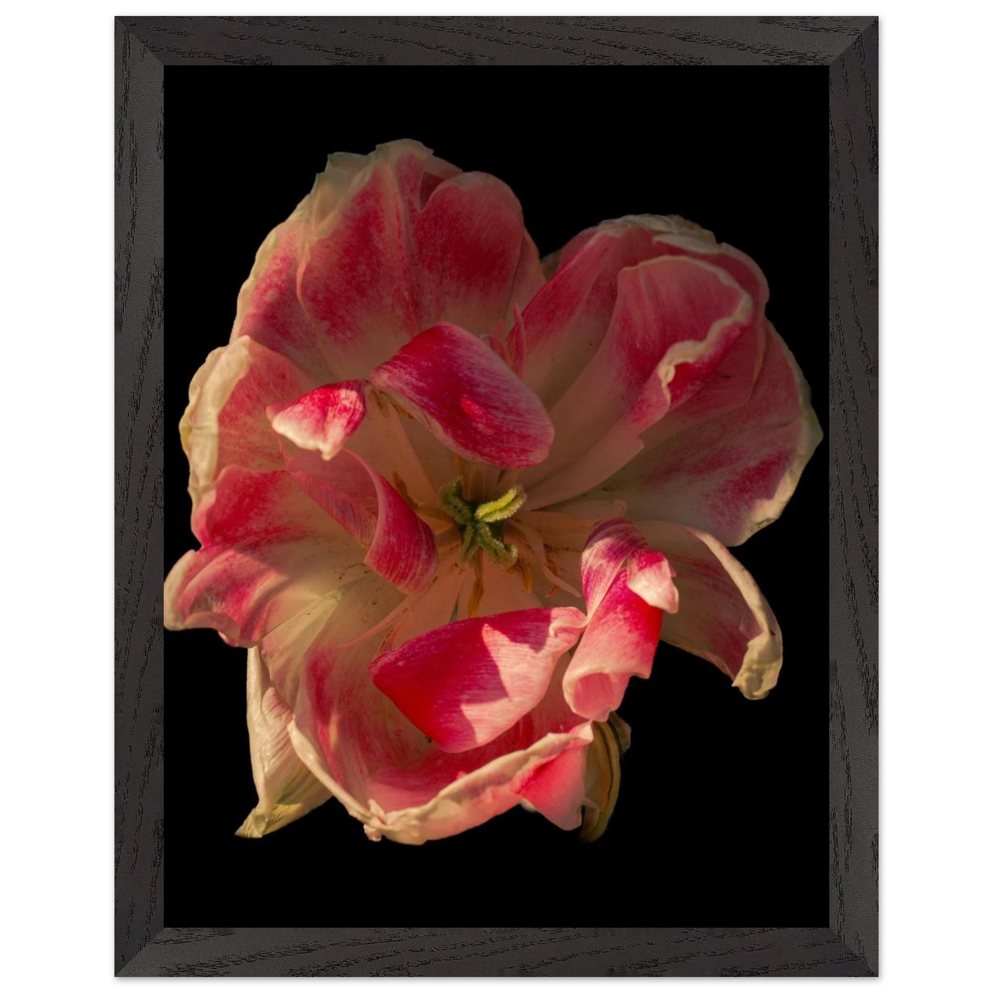 6e3ce706-303f-4c64-8bcc-85b54b34a6cb