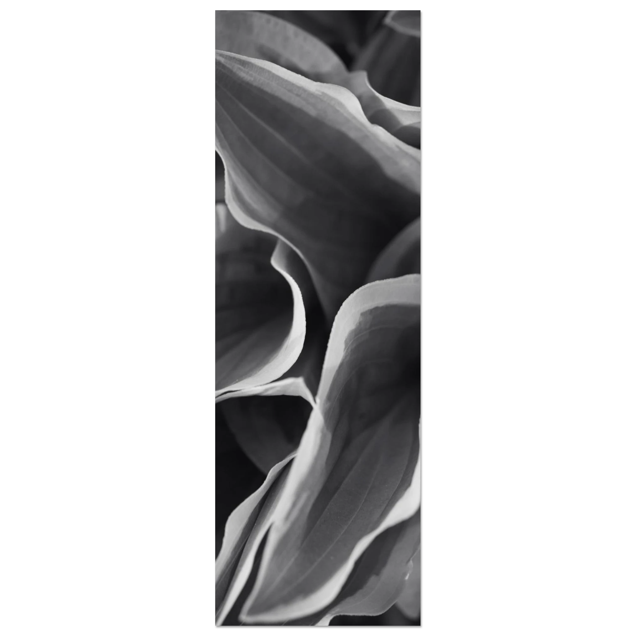 6eca24f7-2305-400d-8460-5c12639659a5
