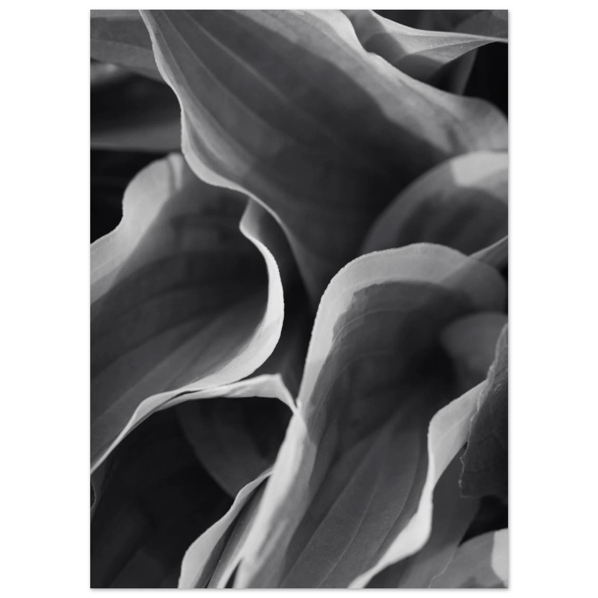 6f040d66-0943-4521-b331-38eafbe77e6d