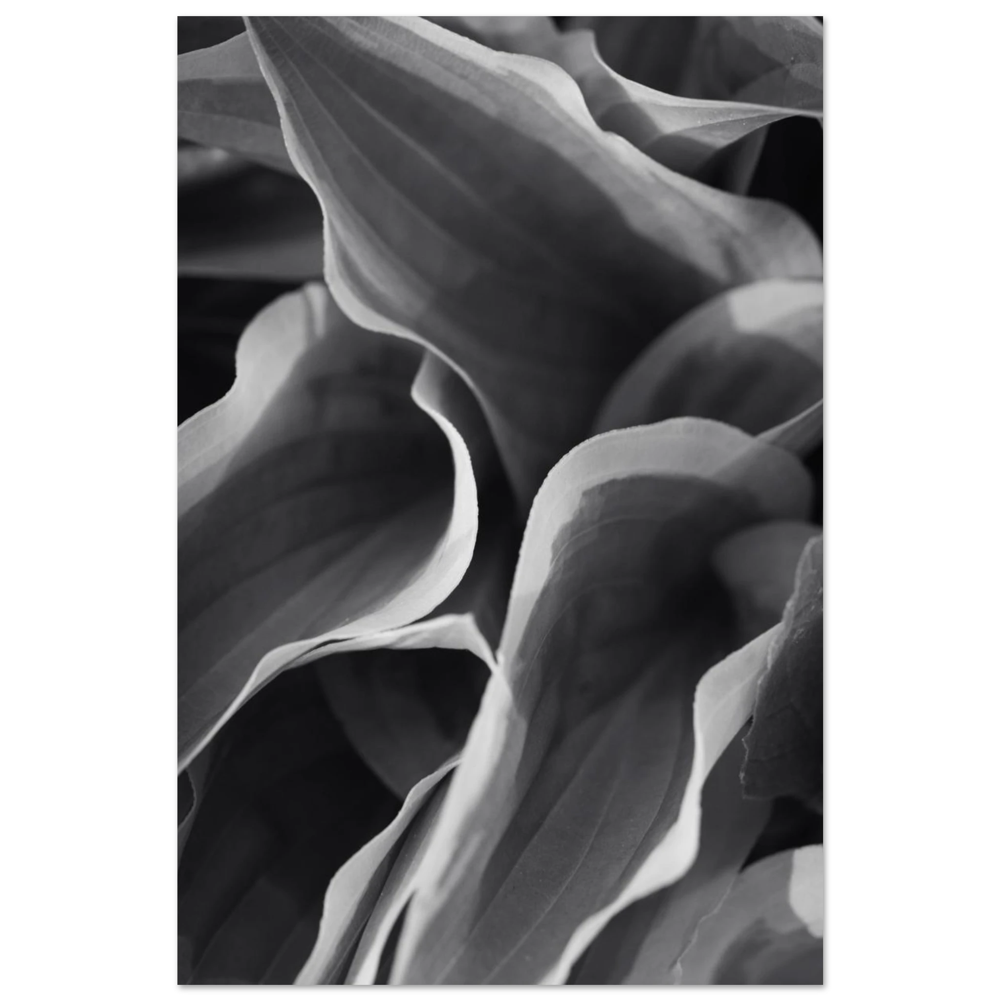 6f149729-e16e-4117-9ef4-2b8d203b697f