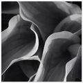 6f4ffb9a-587b-4d02-a084-98c0fc4ed3e5