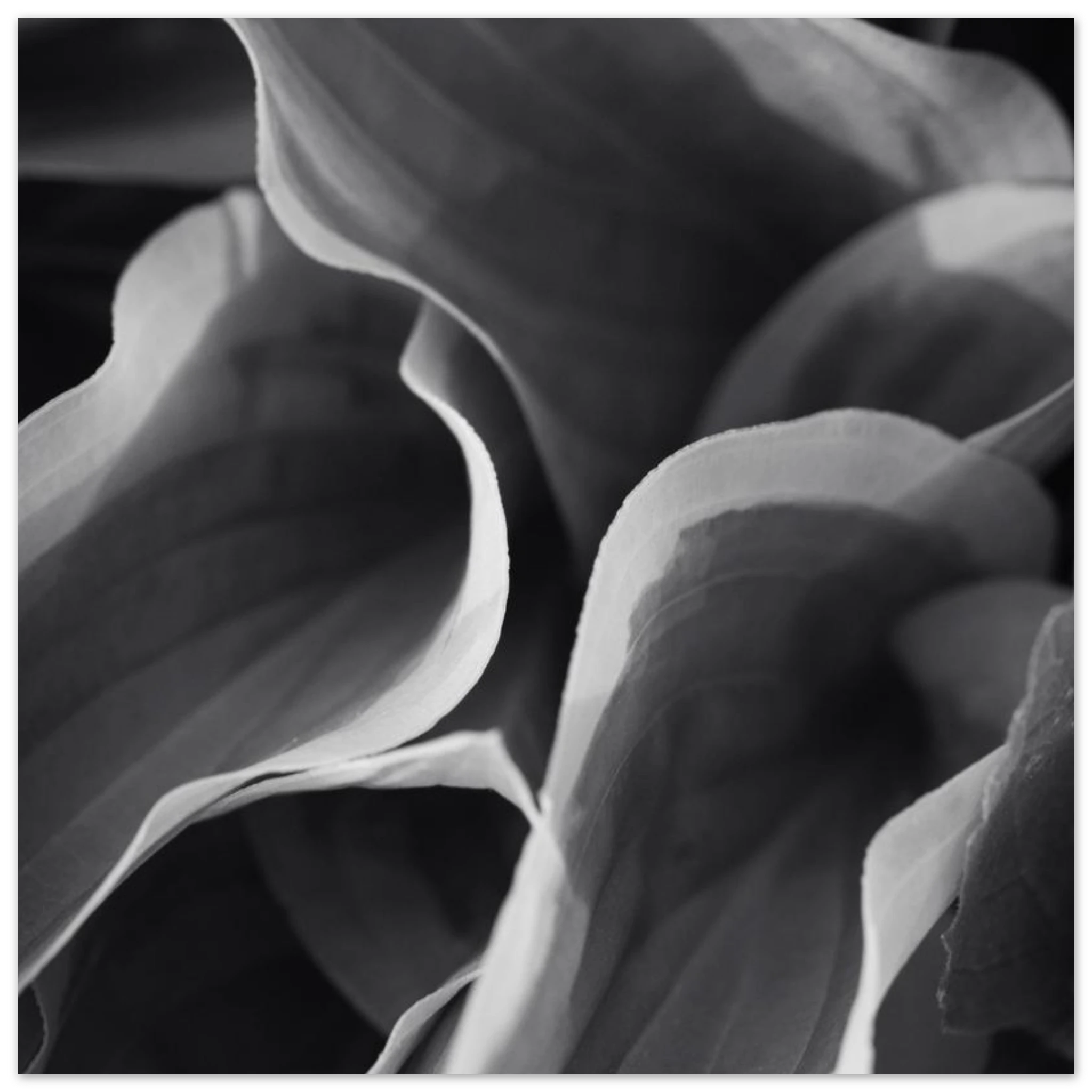 6f4ffb9a-587b-4d02-a084-98c0fc4ed3e5