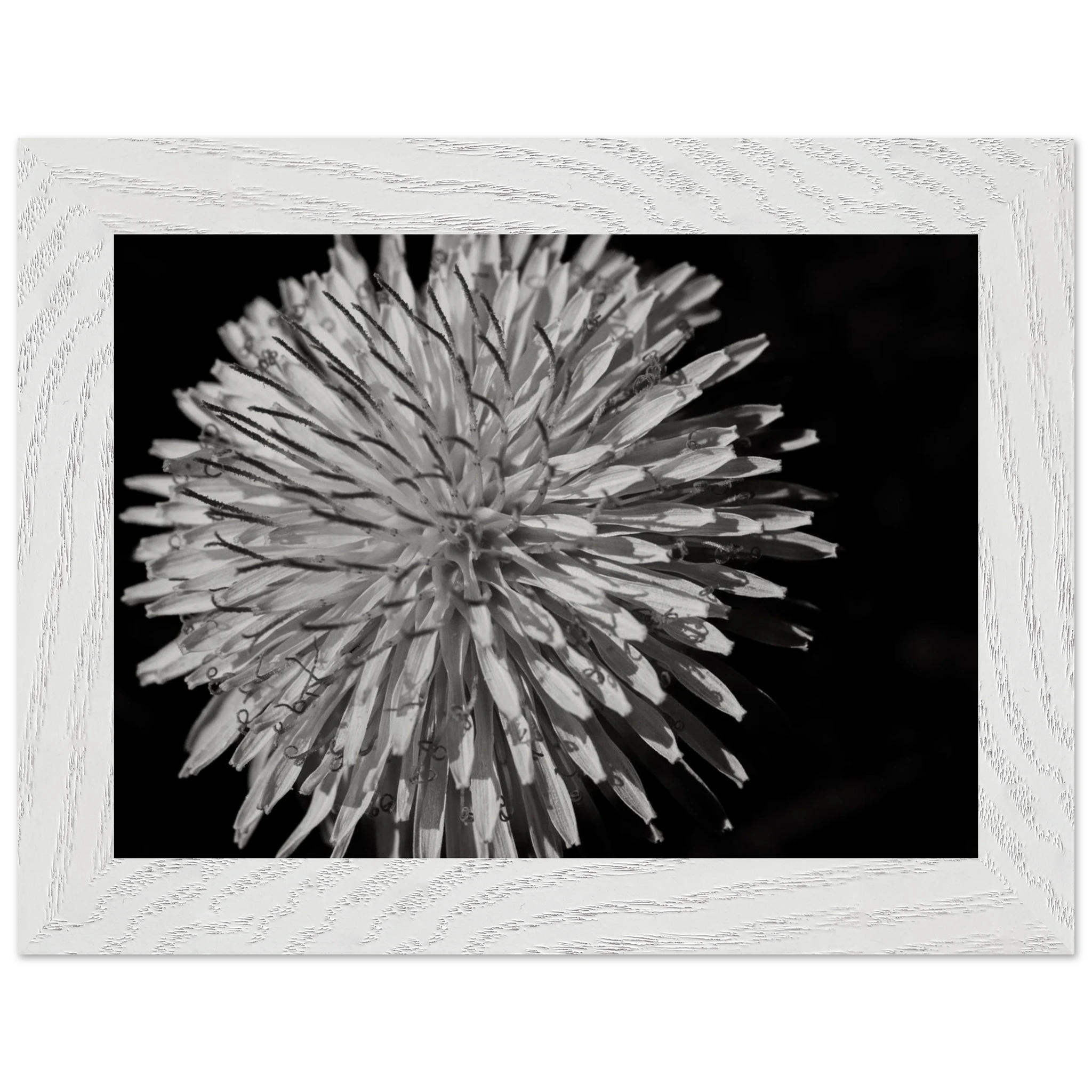 6f884cbe-f0ae-4412-b737-9247ca3ad302