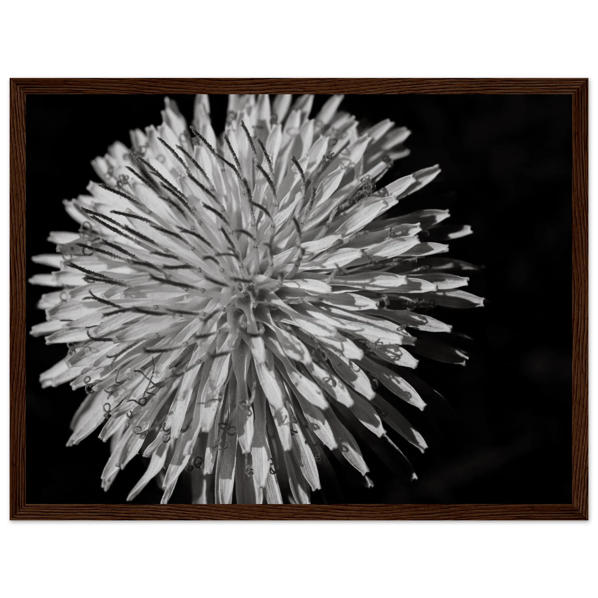 7104e047-71c1-4e07-8244-0c99e7b1e2bf