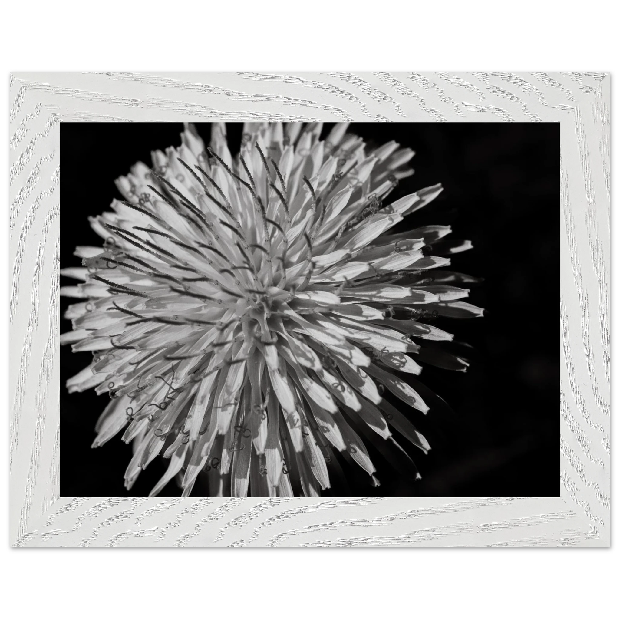 7146ce57-0167-4e43-a655-80190e5cf90b