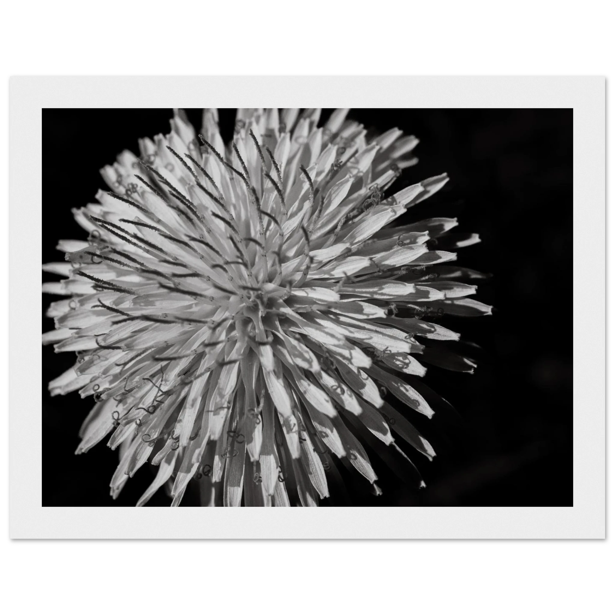 71b34f09-b76a-4b48-899b-effb31fcd104