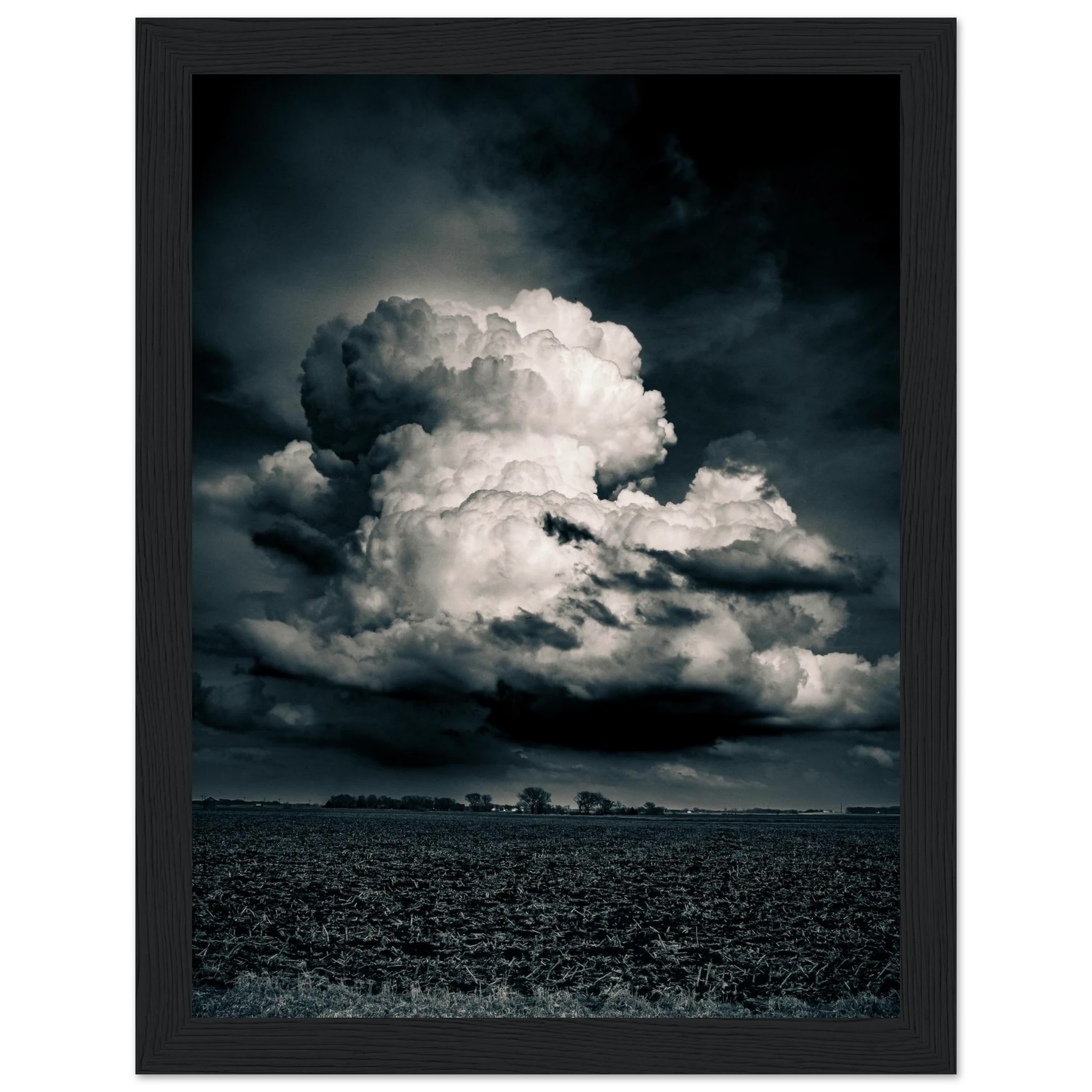 71d881dd-39a6-4e97-9642-b985588d0aa7