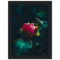 725c1a71-7a19-457c-bf15-e9593803aad2