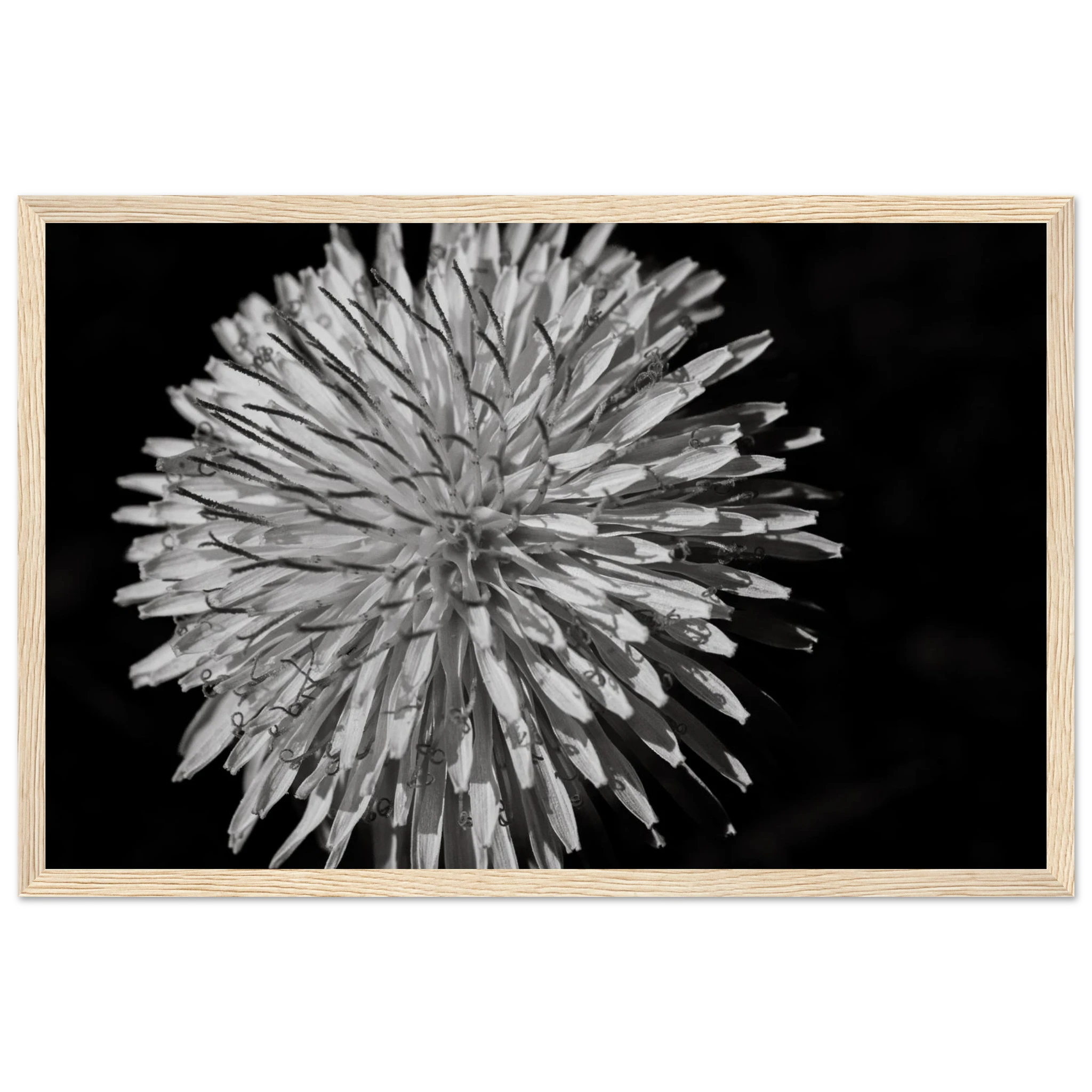 7457e95b-c2d1-41da-b6ae-5e5360ee139a