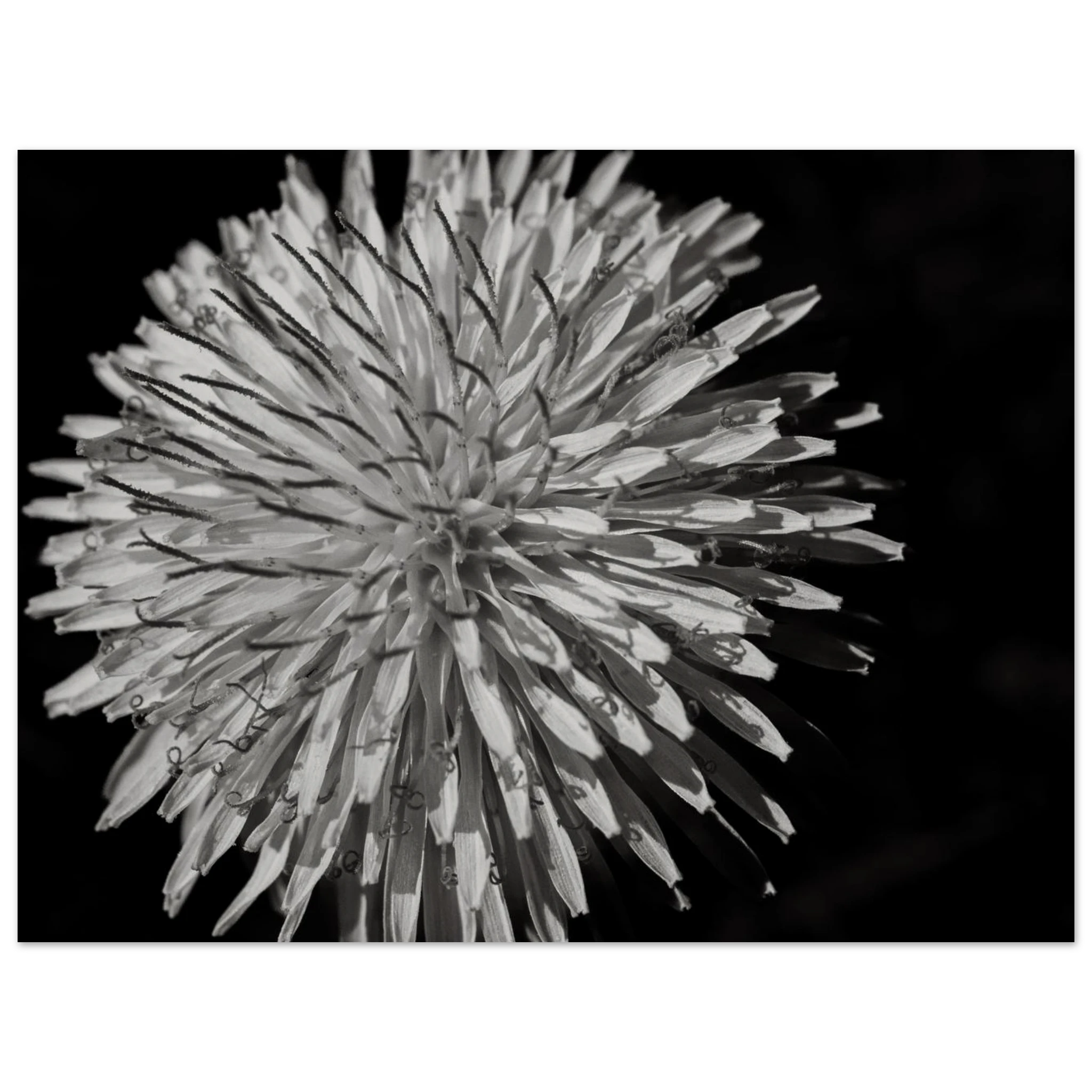 76e13320-d4a4-48cd-9783-7d1960972dcf