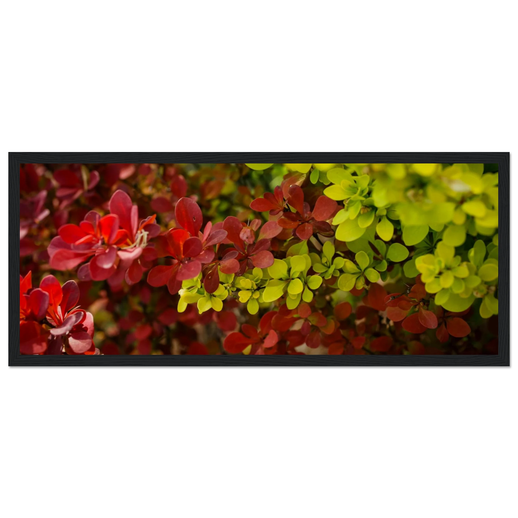 78824e35-07ff-4fd0-98fe-c7c30b987439