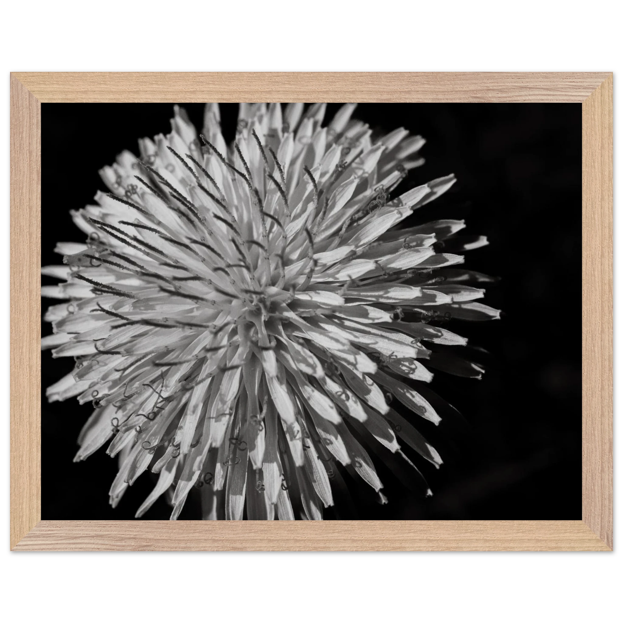 7a553603-1091-4d61-bd81-eeb5a2b9448d