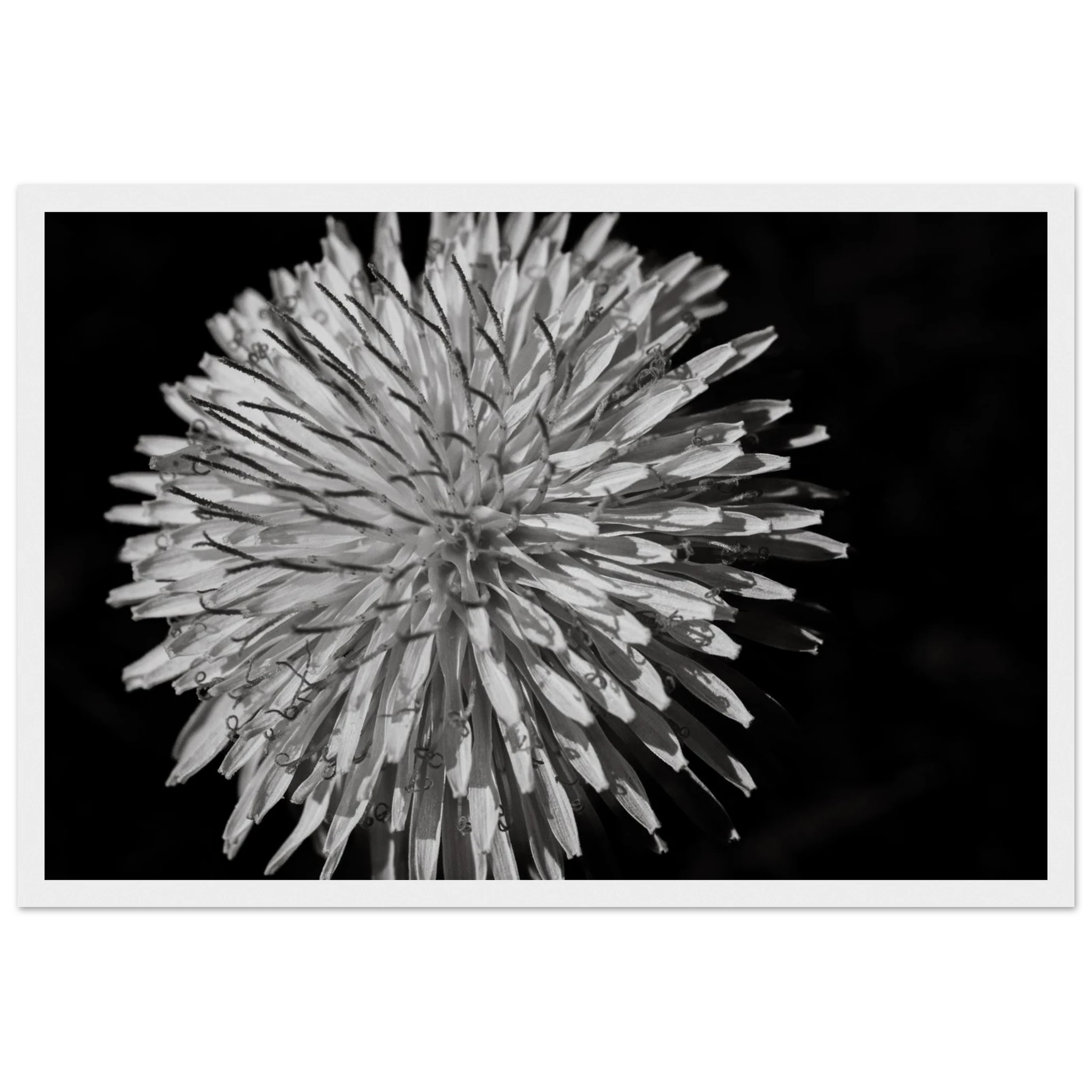 7b4ad81e-9e79-4ad4-b3d7-af0bc4e08036