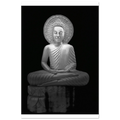 7cec0f54-0464-454c-8885-435ba0ed1001
