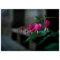 7d01107f-3ca0-46e8-91a2-8e88ce116377