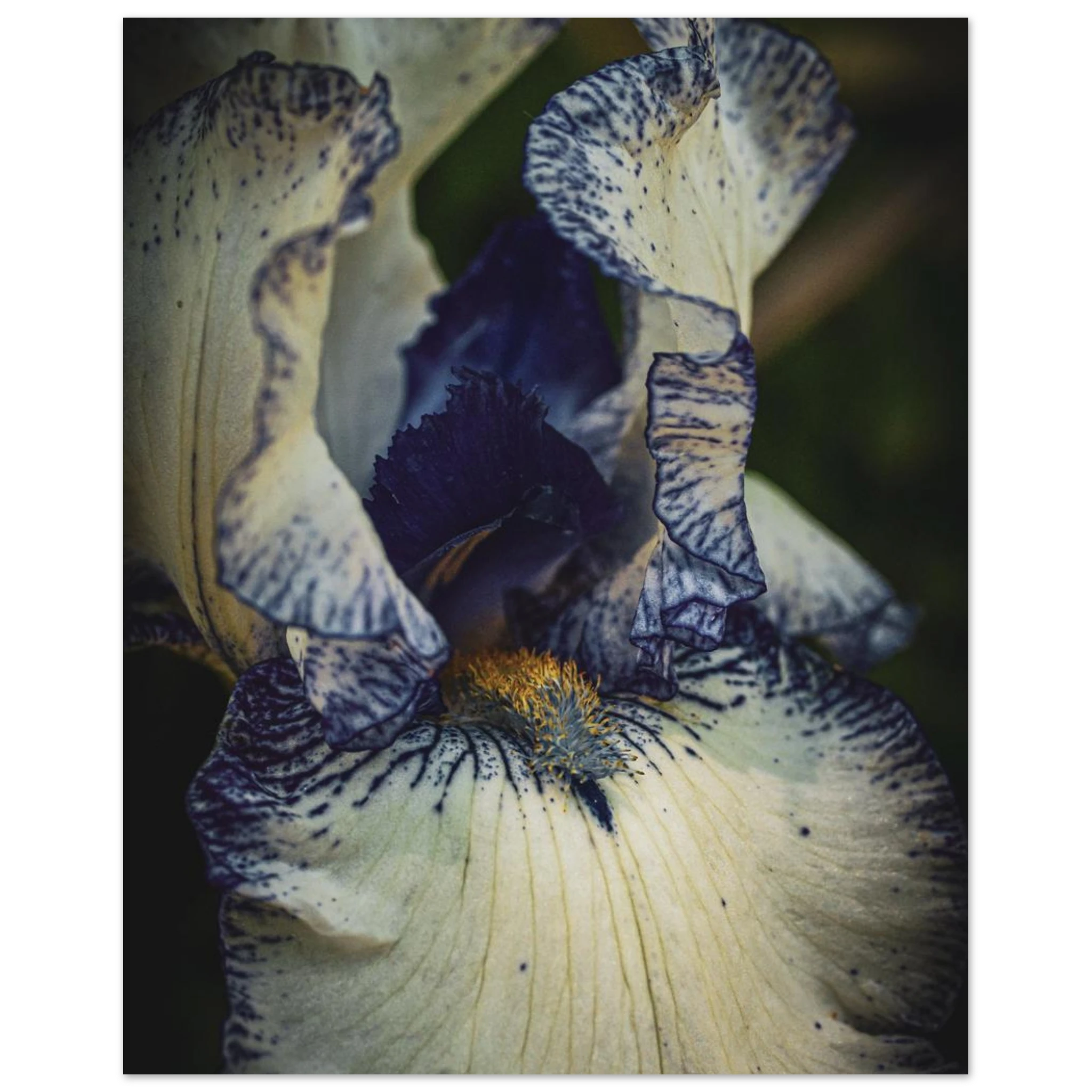 7d7293db-d444-4452-a697-2c48f6ba5b36