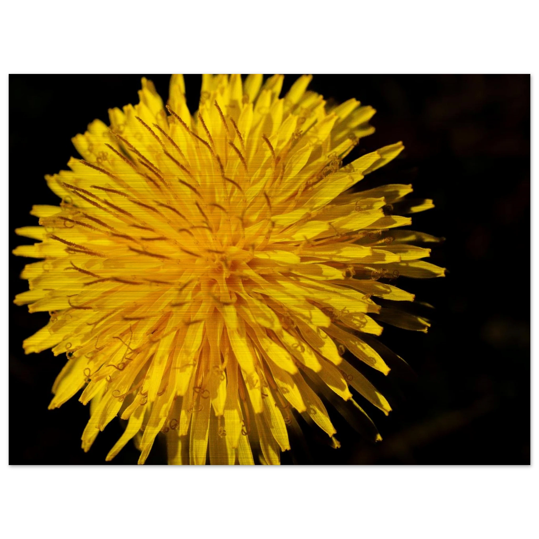 7dc903cc-33e7-4d0c-aa03-098395ce0223