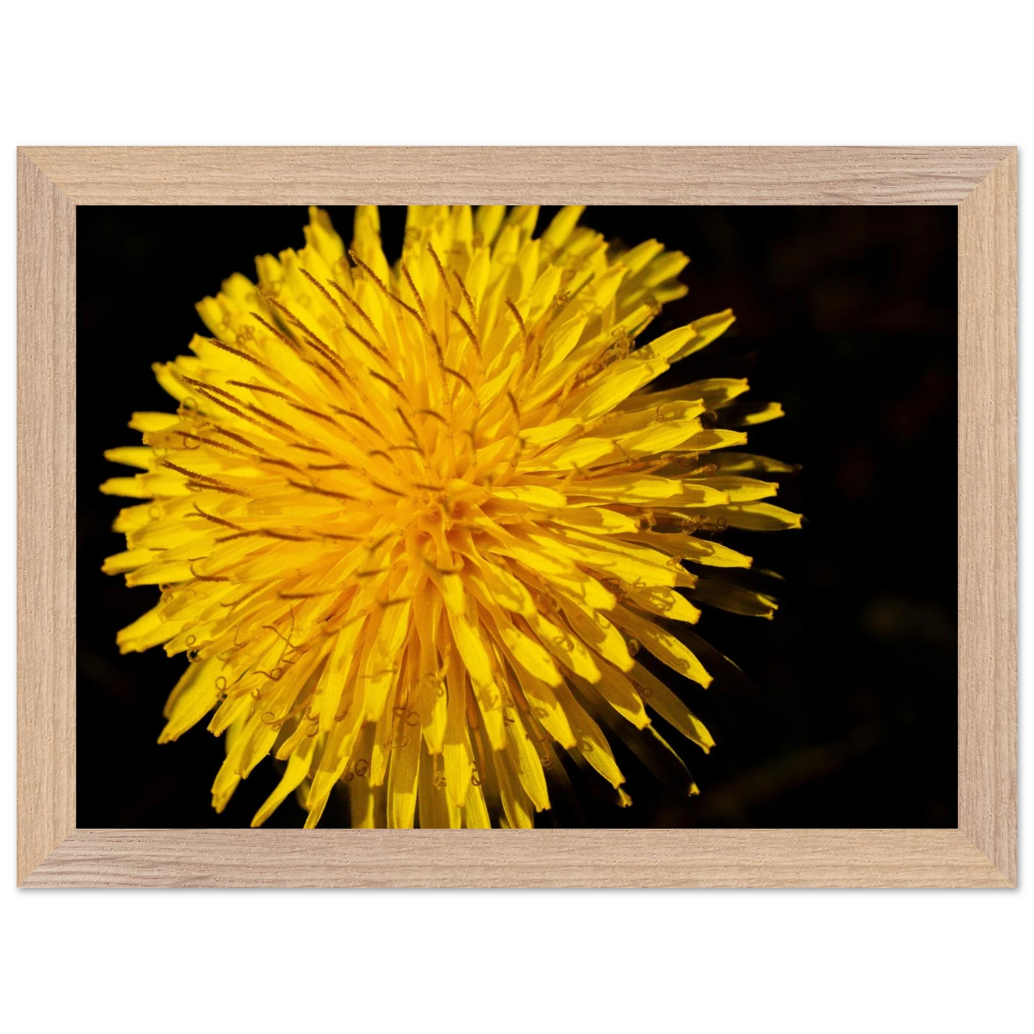 7ddb5169-f0f5-4214-9502-f4e98bd0dc0f
