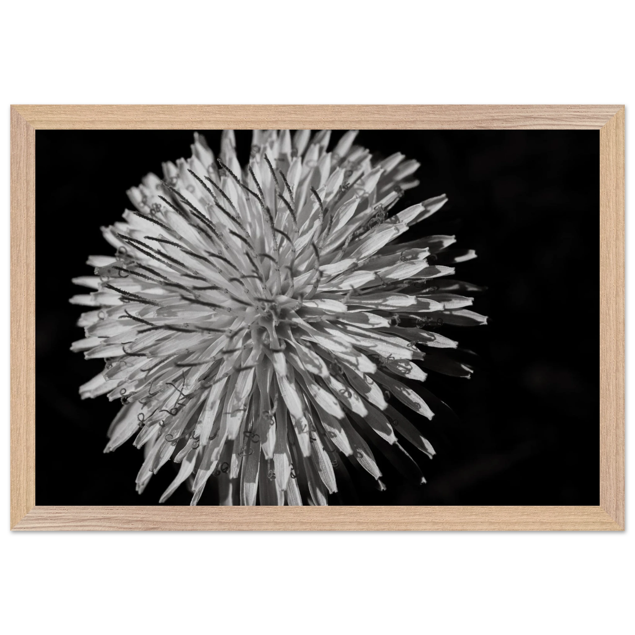 81d57e71-dc67-43e0-bc1d-b2283df4da53