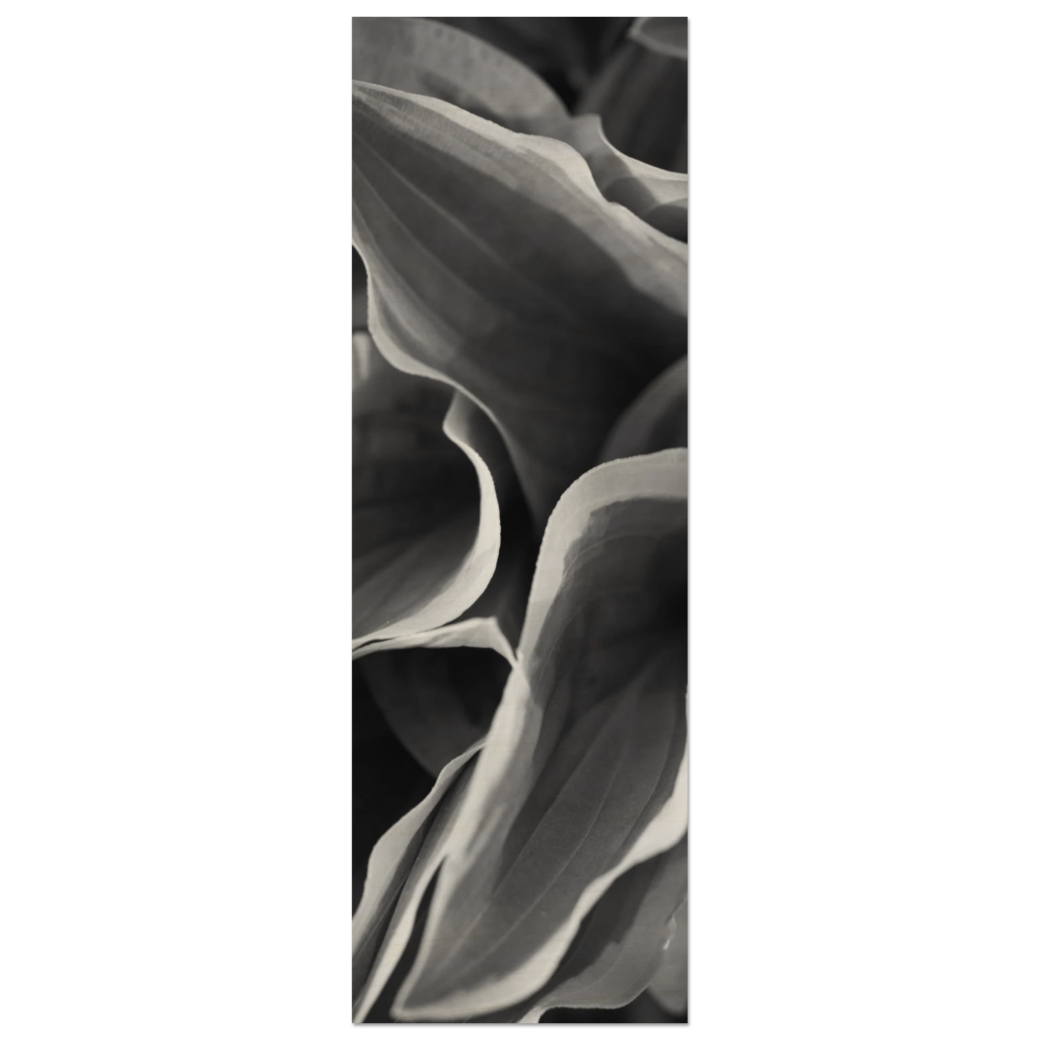 821b1c21-975f-4522-9644-466b7c5a24d8