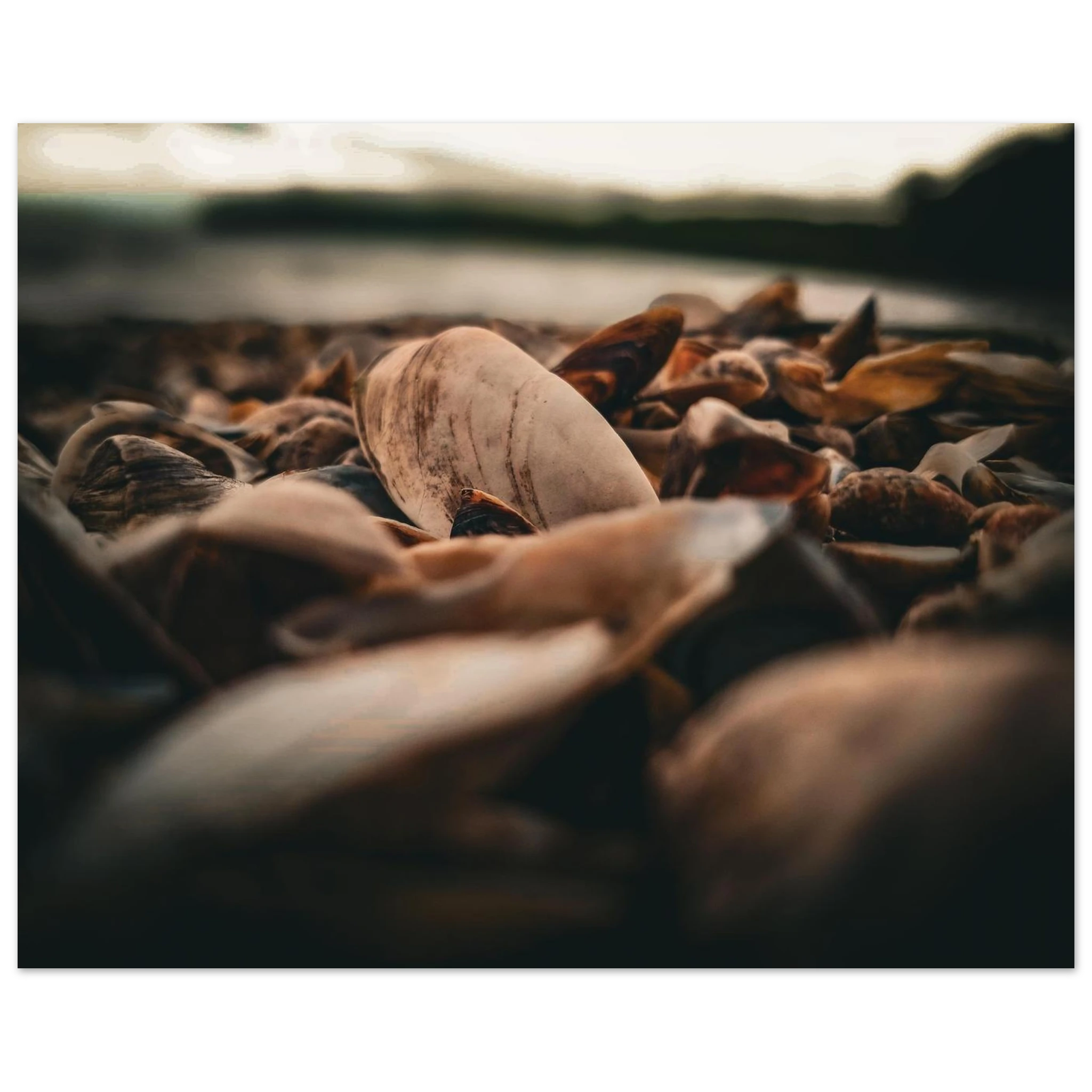 82979f67-5fae-42d1-a727-378124fc480e