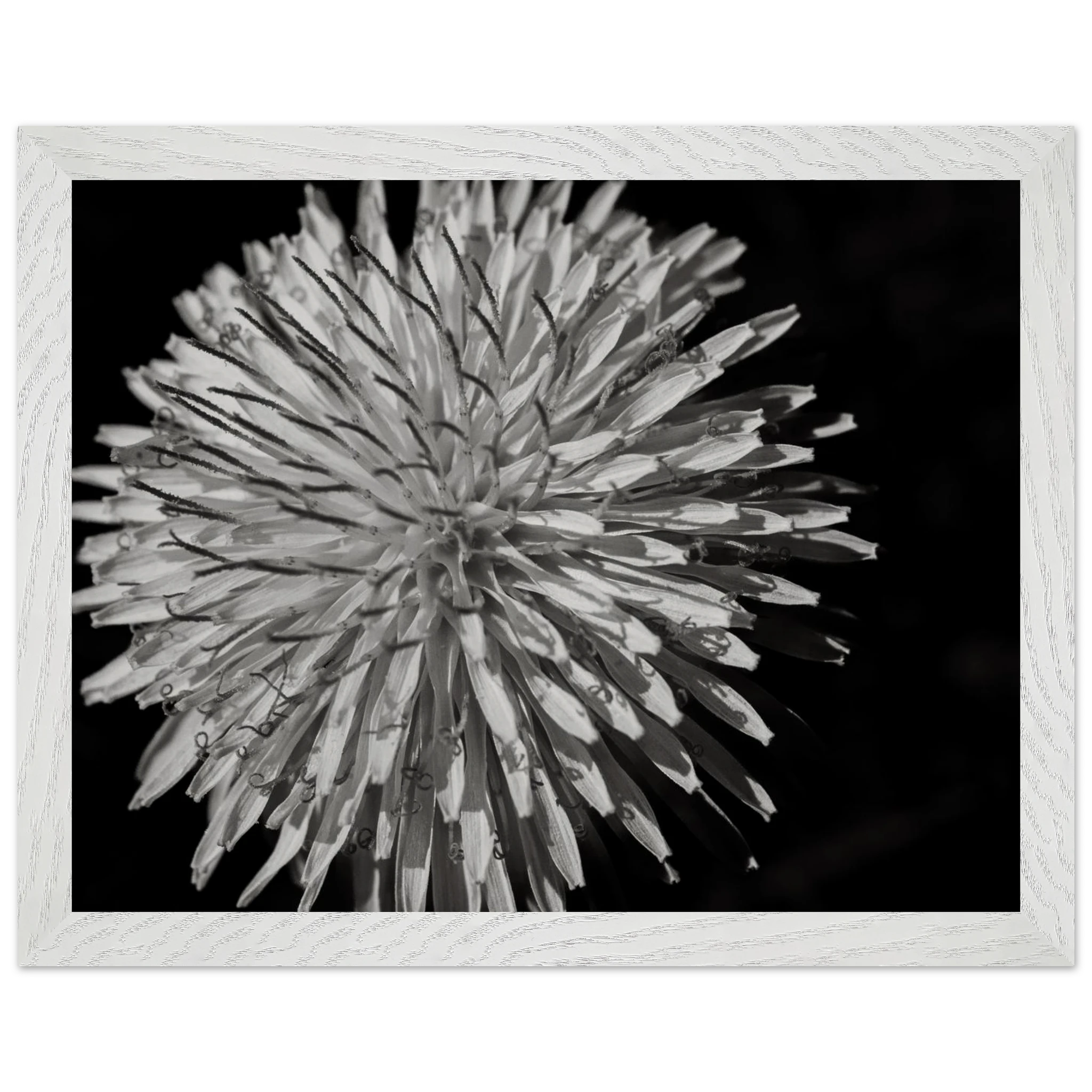 83ee19d6-55ef-473a-8d34-2ed9004e2c4f