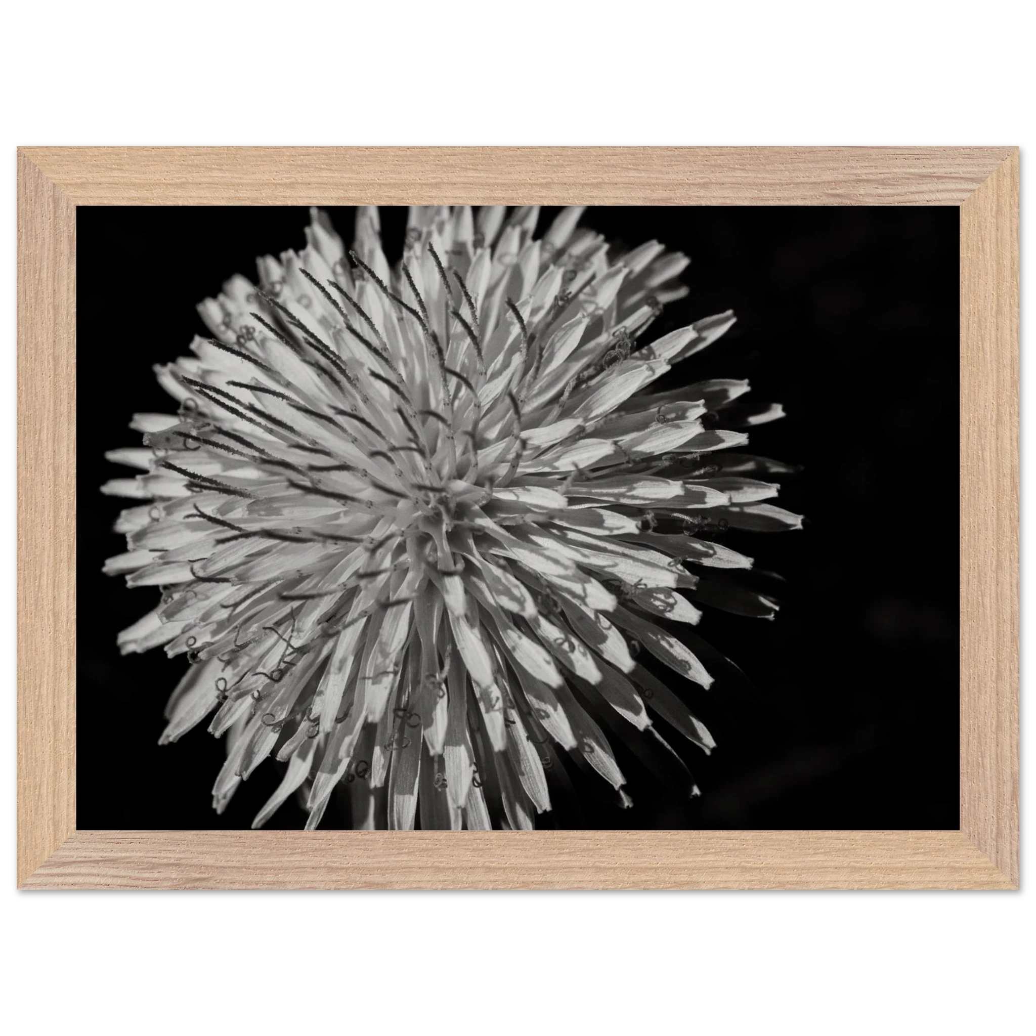 84ad02f8-3e1d-4feb-ac42-462a3159cd4e