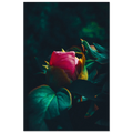 85598bb0-0cf7-4fd6-9e58-4998cf4dd343