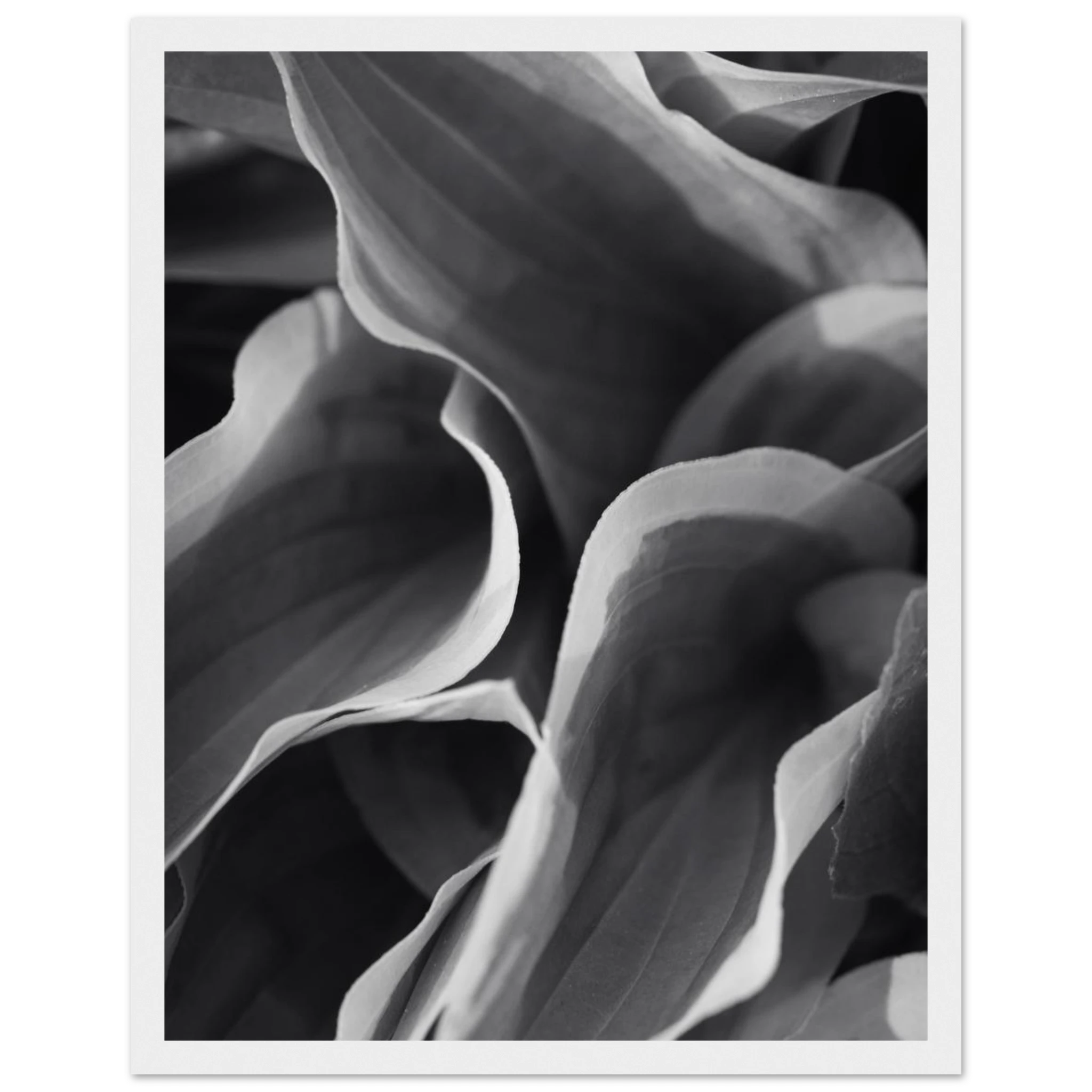 89505291-c658-4923-aa34-6cb2c4e785d3