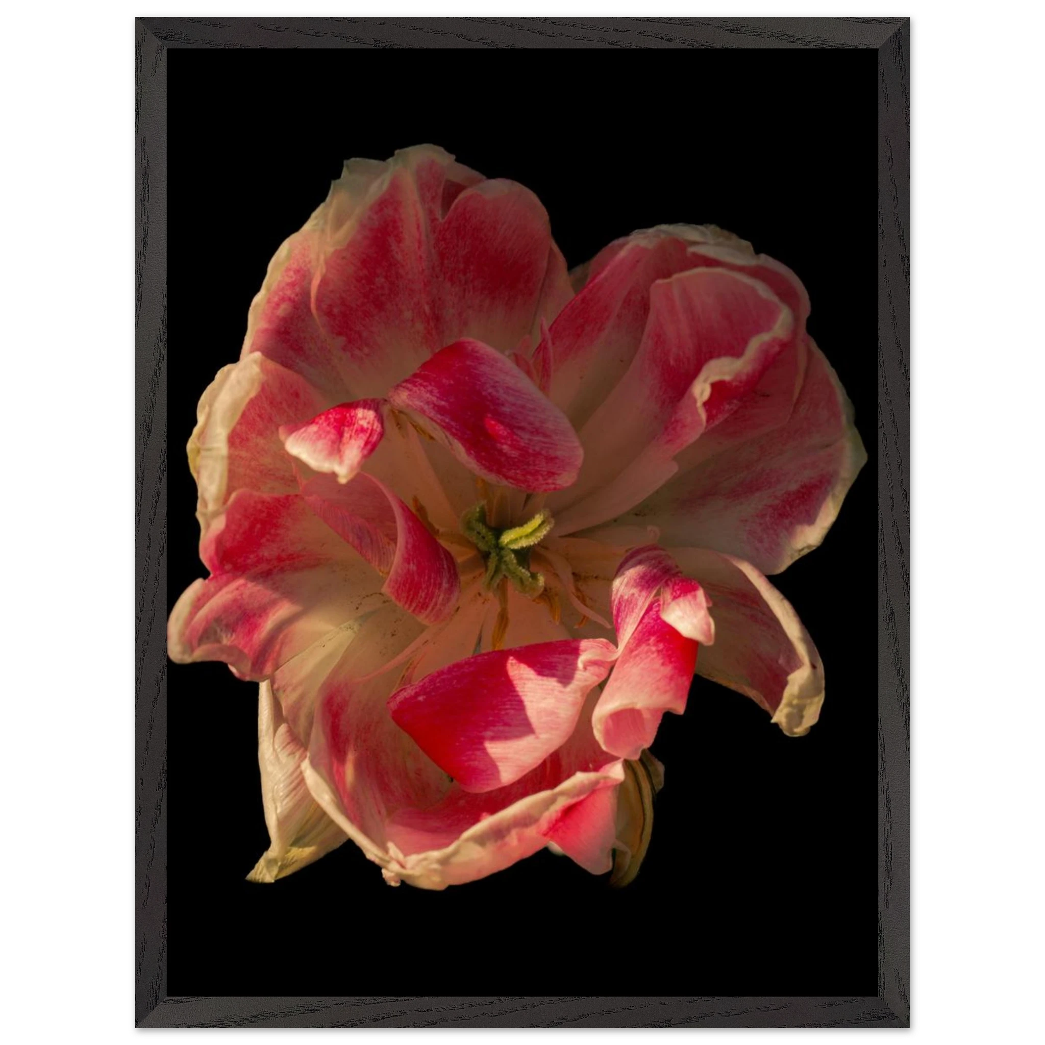 8b3d3a35-c27d-4dda-8ec8-2c6a023caadf