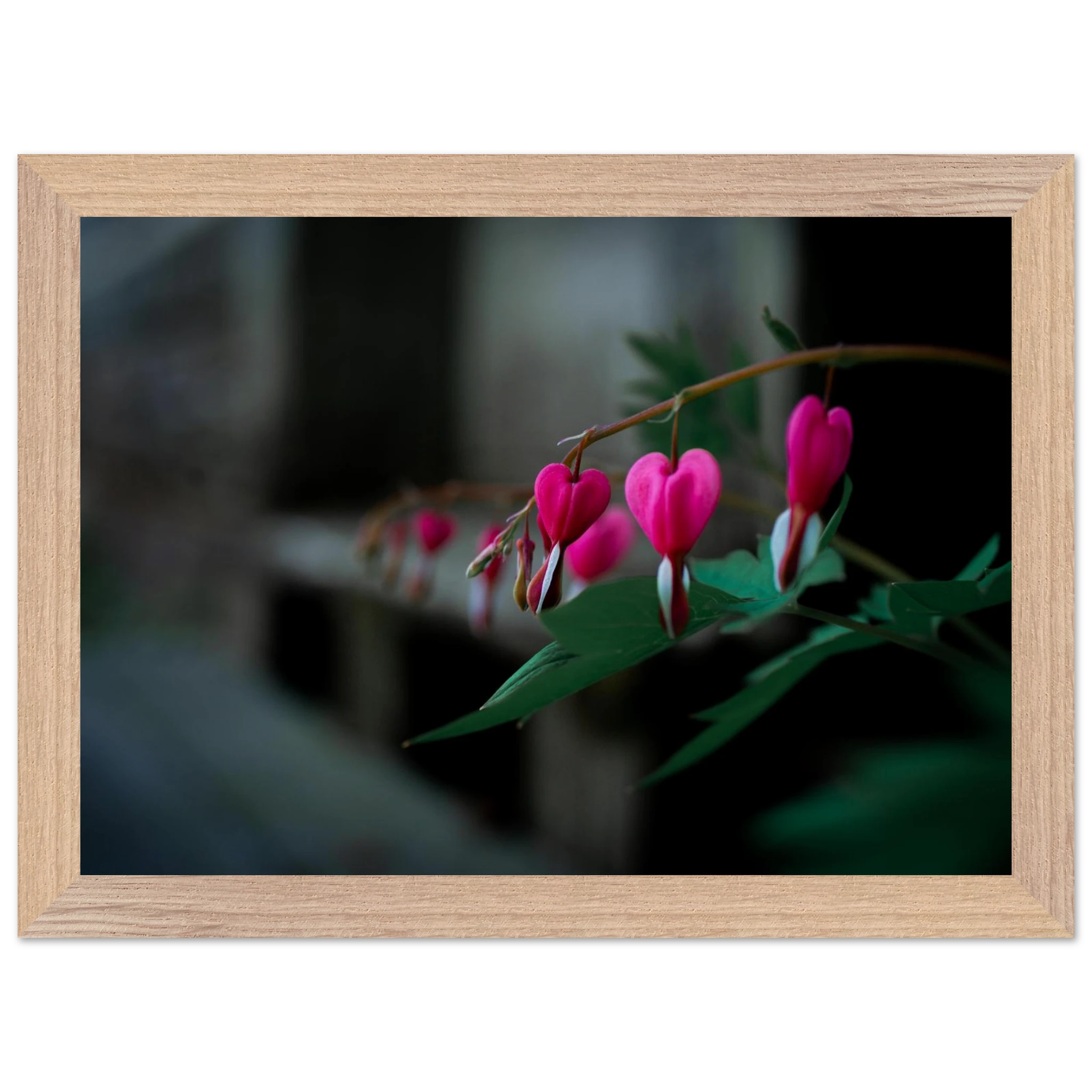 8b860b93-5c7b-41cb-a2b2-1dcb5e676755