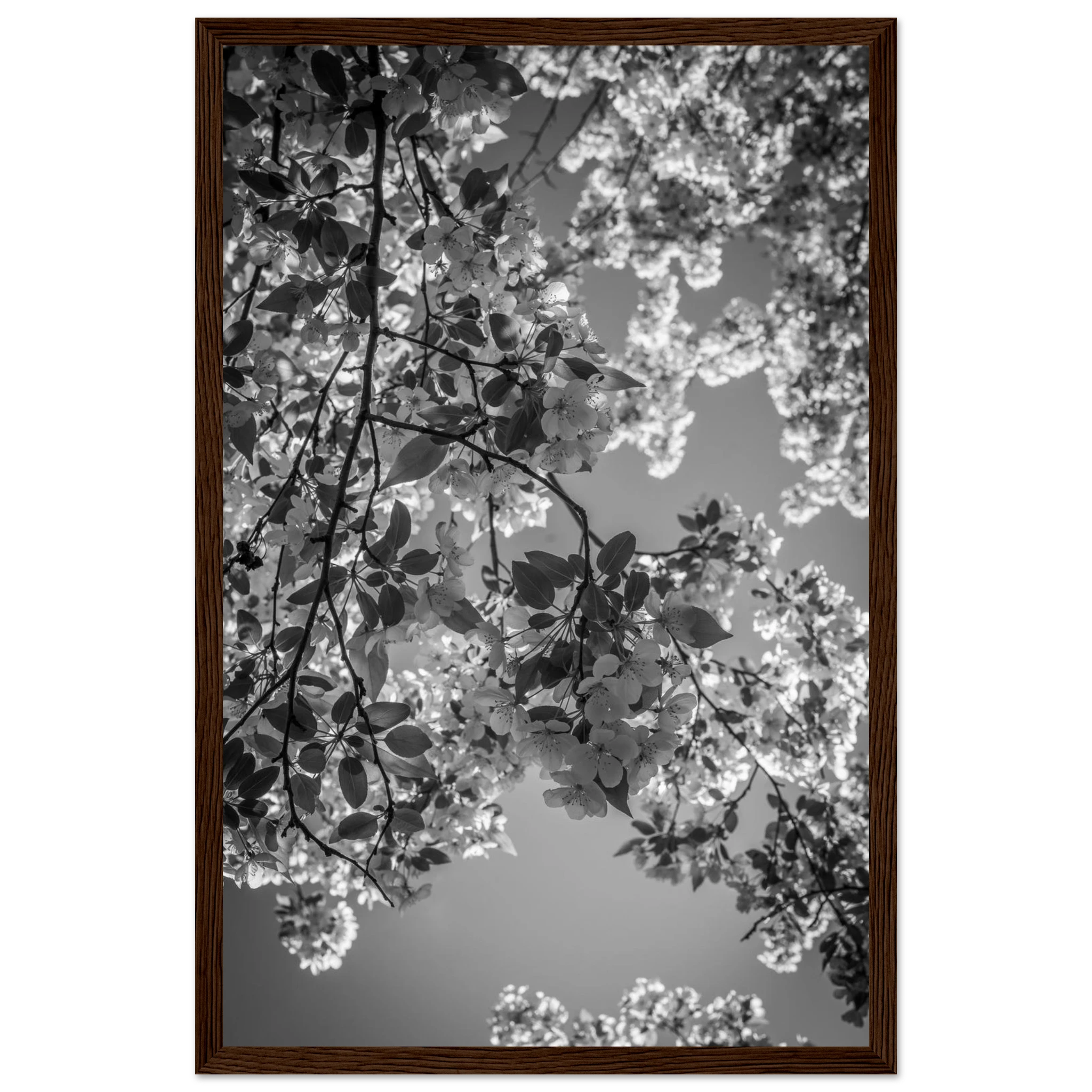 8bbb2025-ddfa-4d6f-917c-c24231d535e4