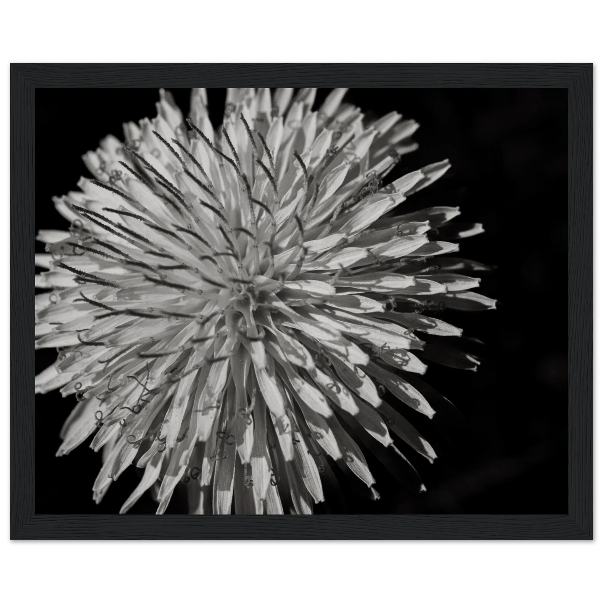 8c21b4cd-1d03-482a-ae2c-c46c67605b9f