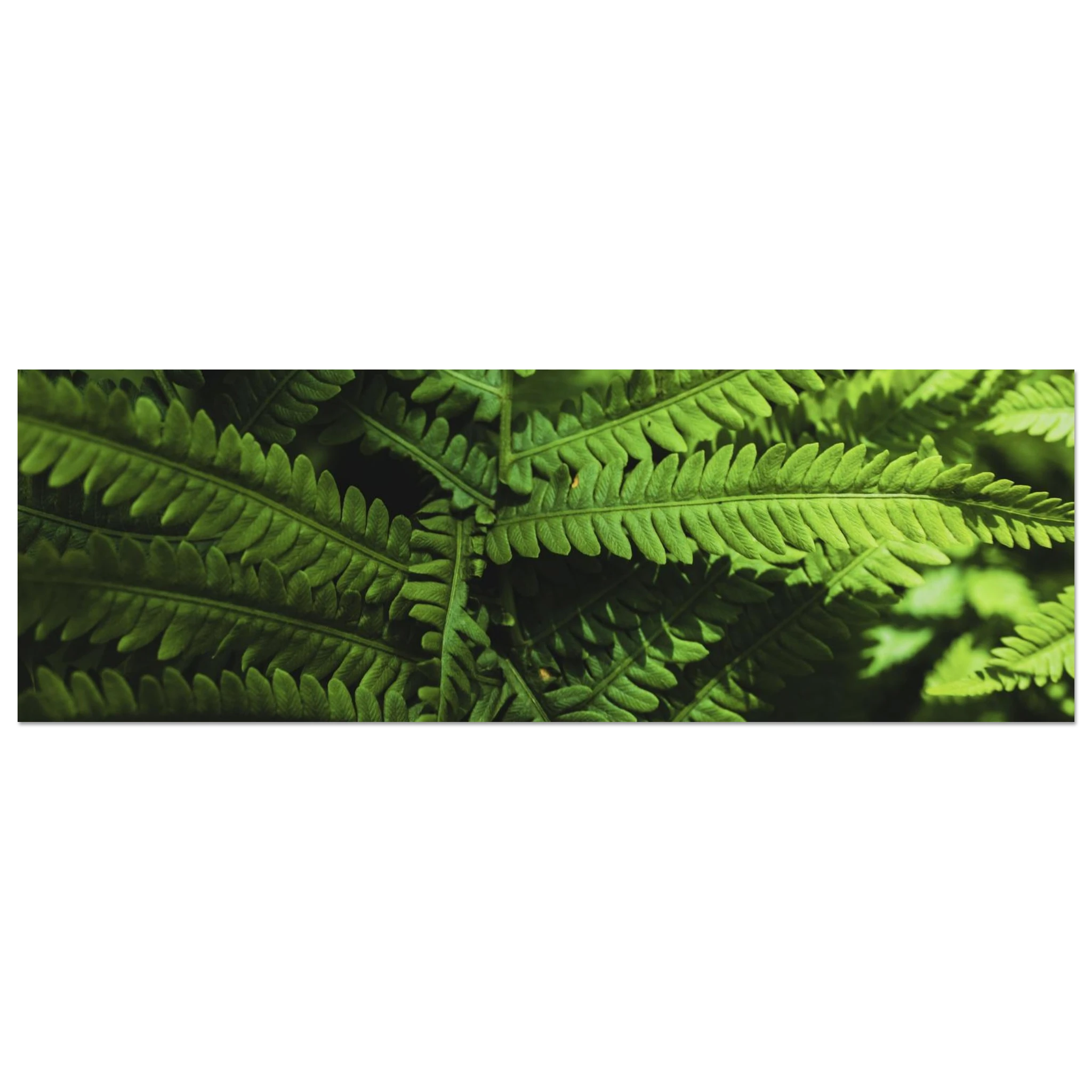 8c2fd3a2-a7eb-4d86-87b9-b832af240dd6