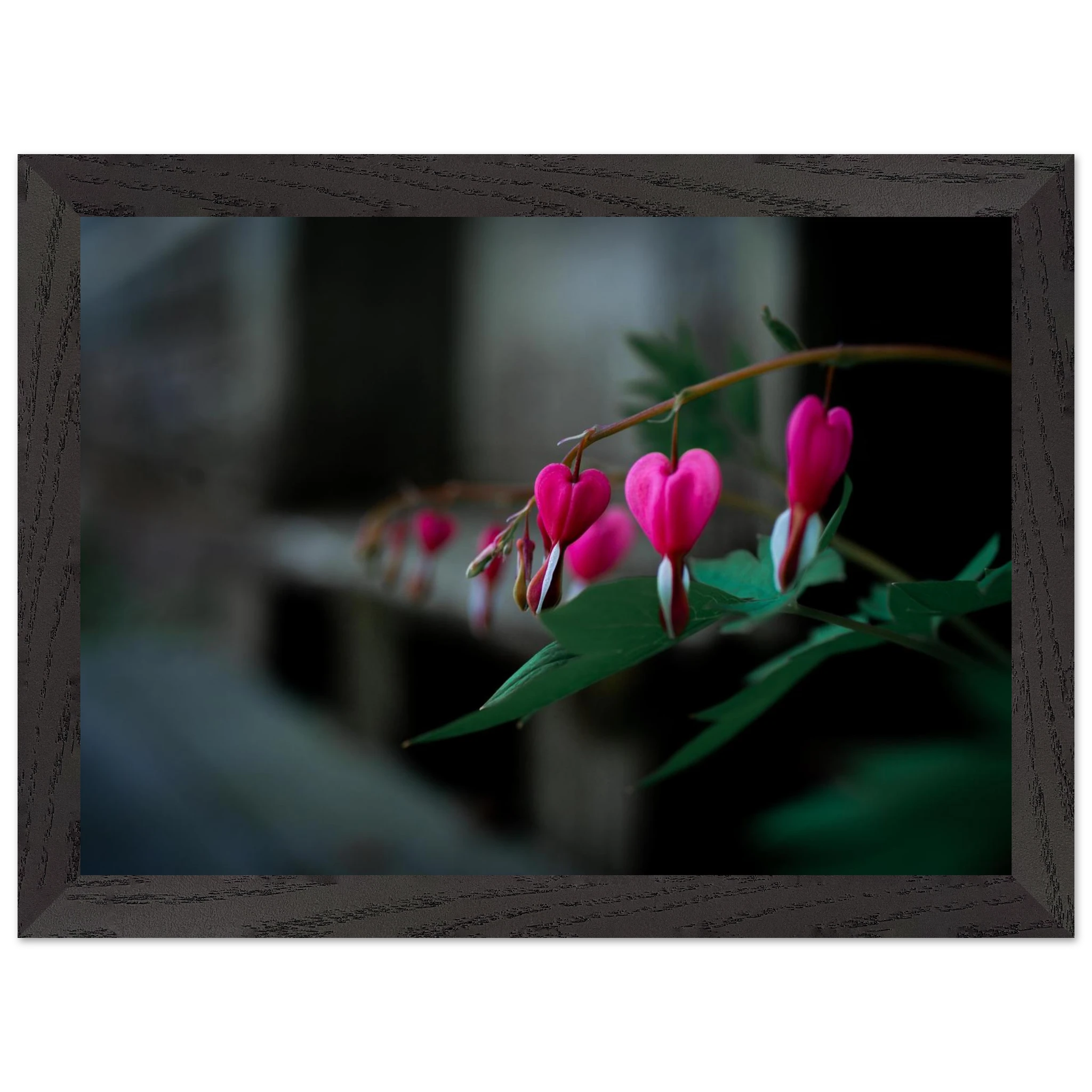 8d882708-3928-485a-a81c-860edb19653a