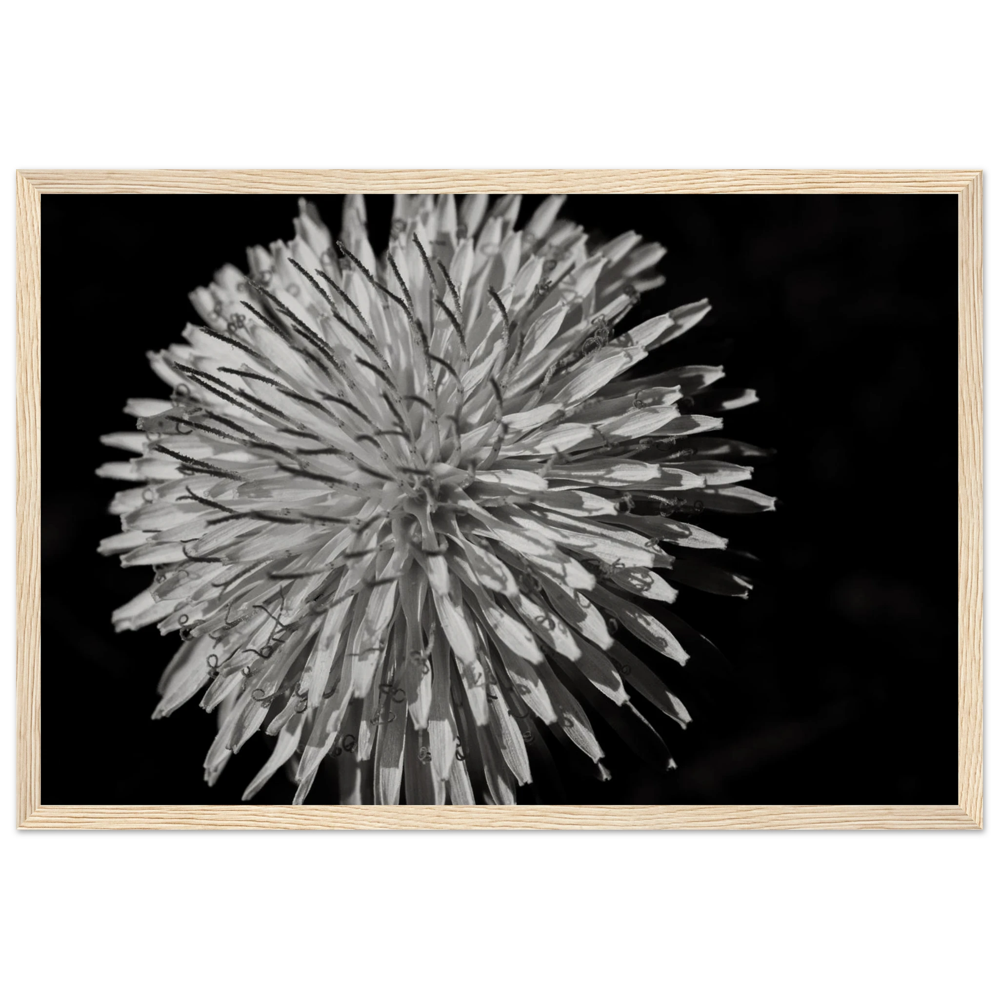 8e9c3283-1f75-41e7-8d24-ad9e5c15ec79