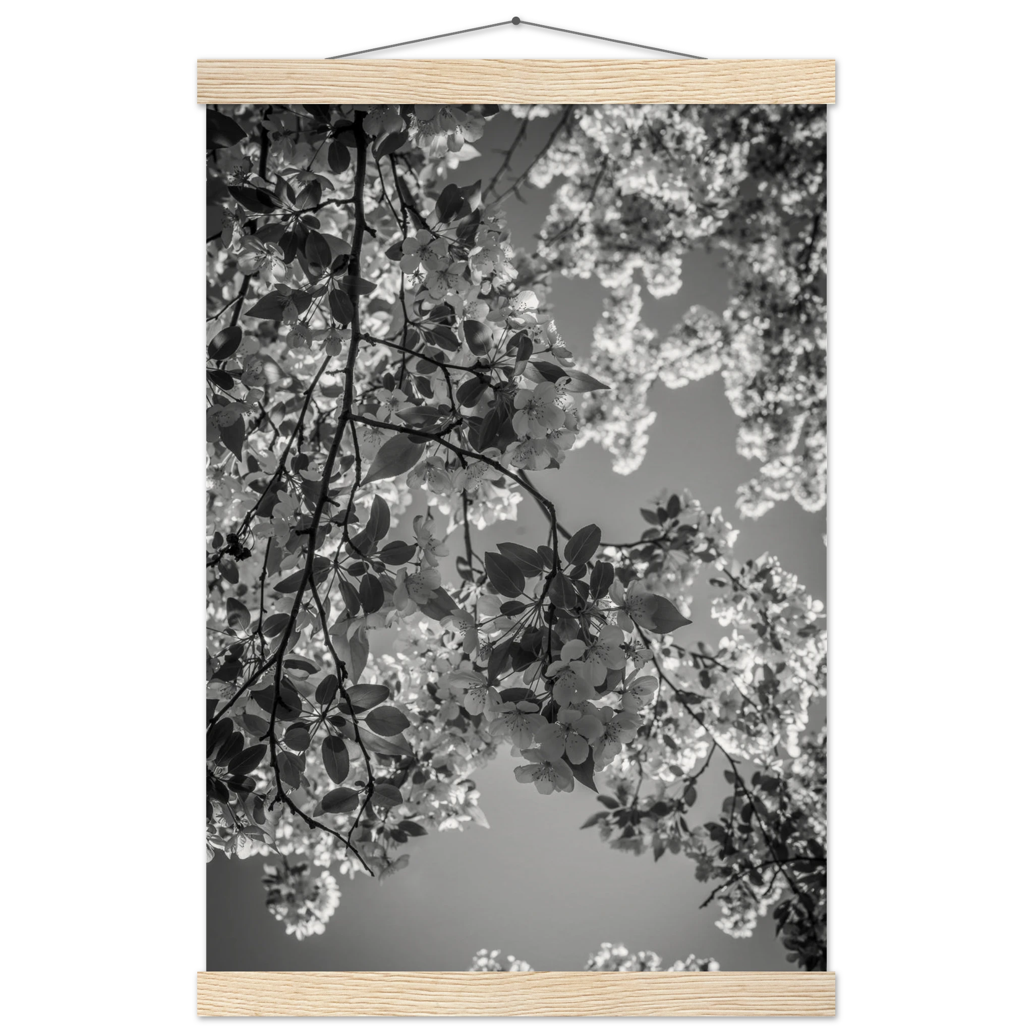 8ee164a0-06df-4cce-b711-09a84a616053