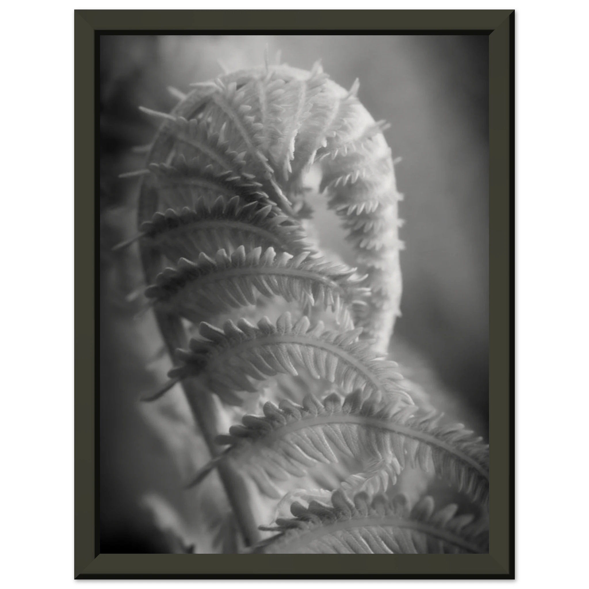 8f5f0e4f-4568-43a3-b086-36be96701d6c