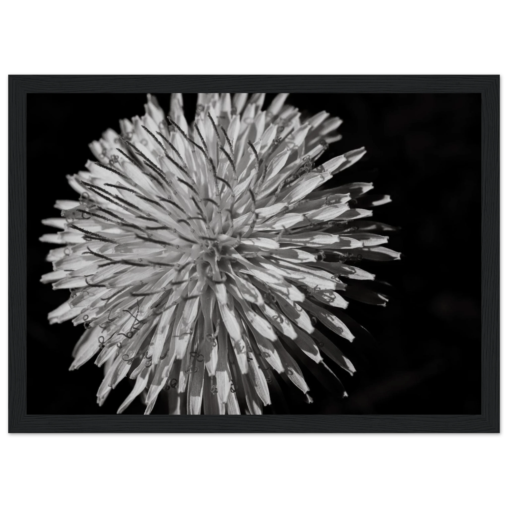 8f625eea-eaac-4970-962d-64c6c6a69e72