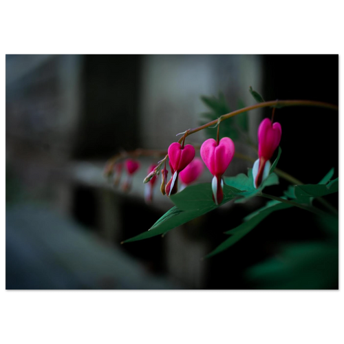 905f8745-04bc-495c-9117-21c90ef200ee