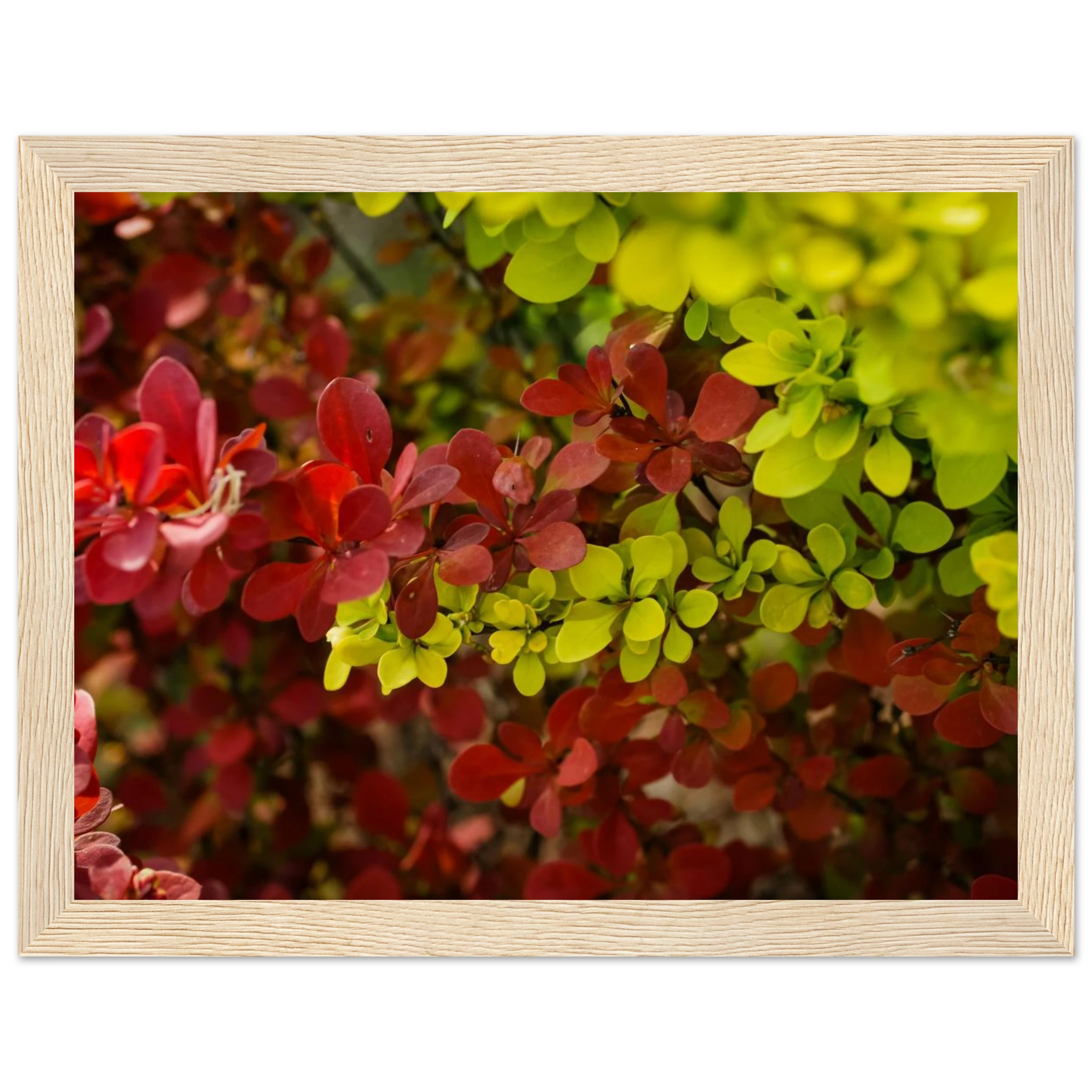 90d697be-8266-4c72-bf2e-a72246129699
