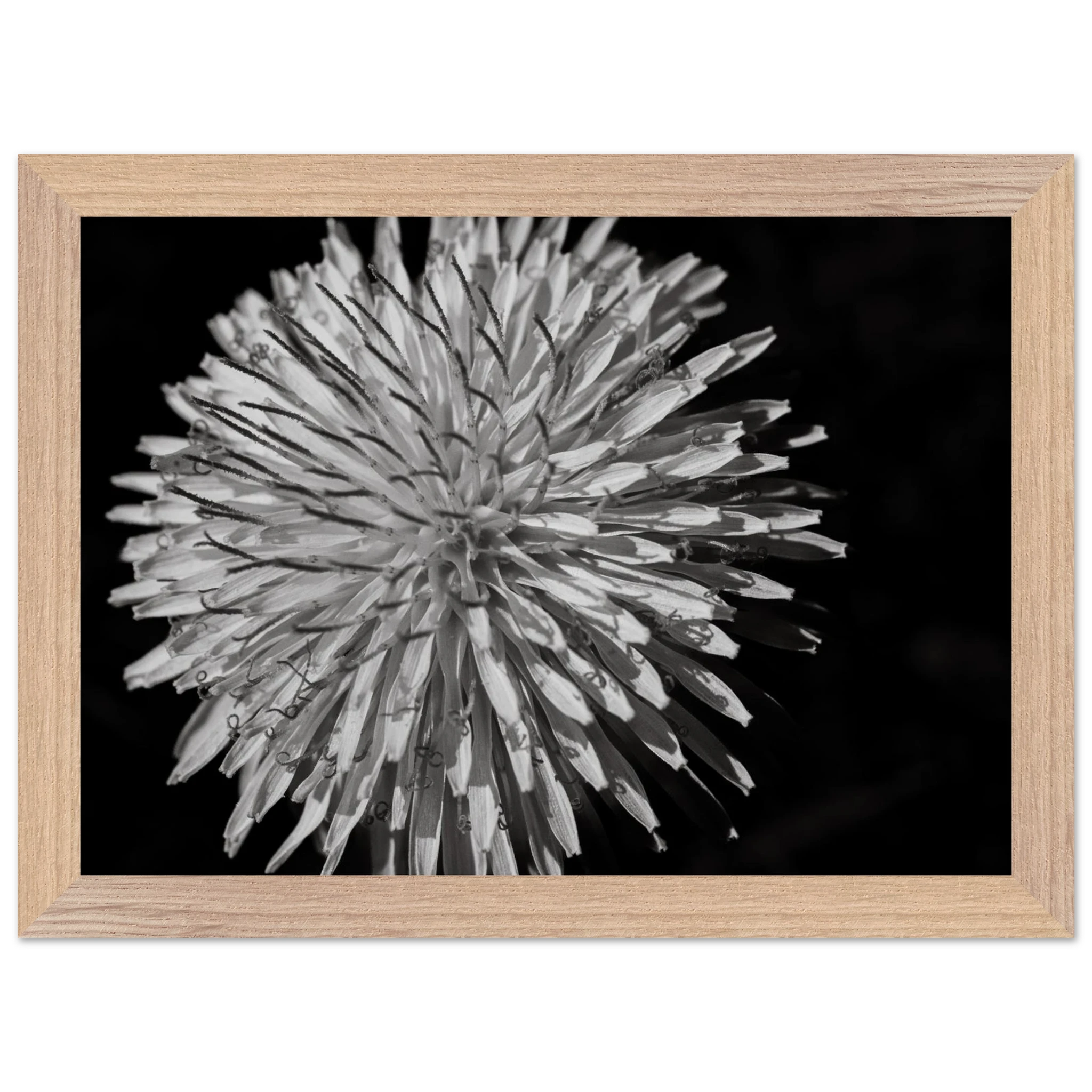 92811632-4f44-4570-8df3-f7356d18d4c4