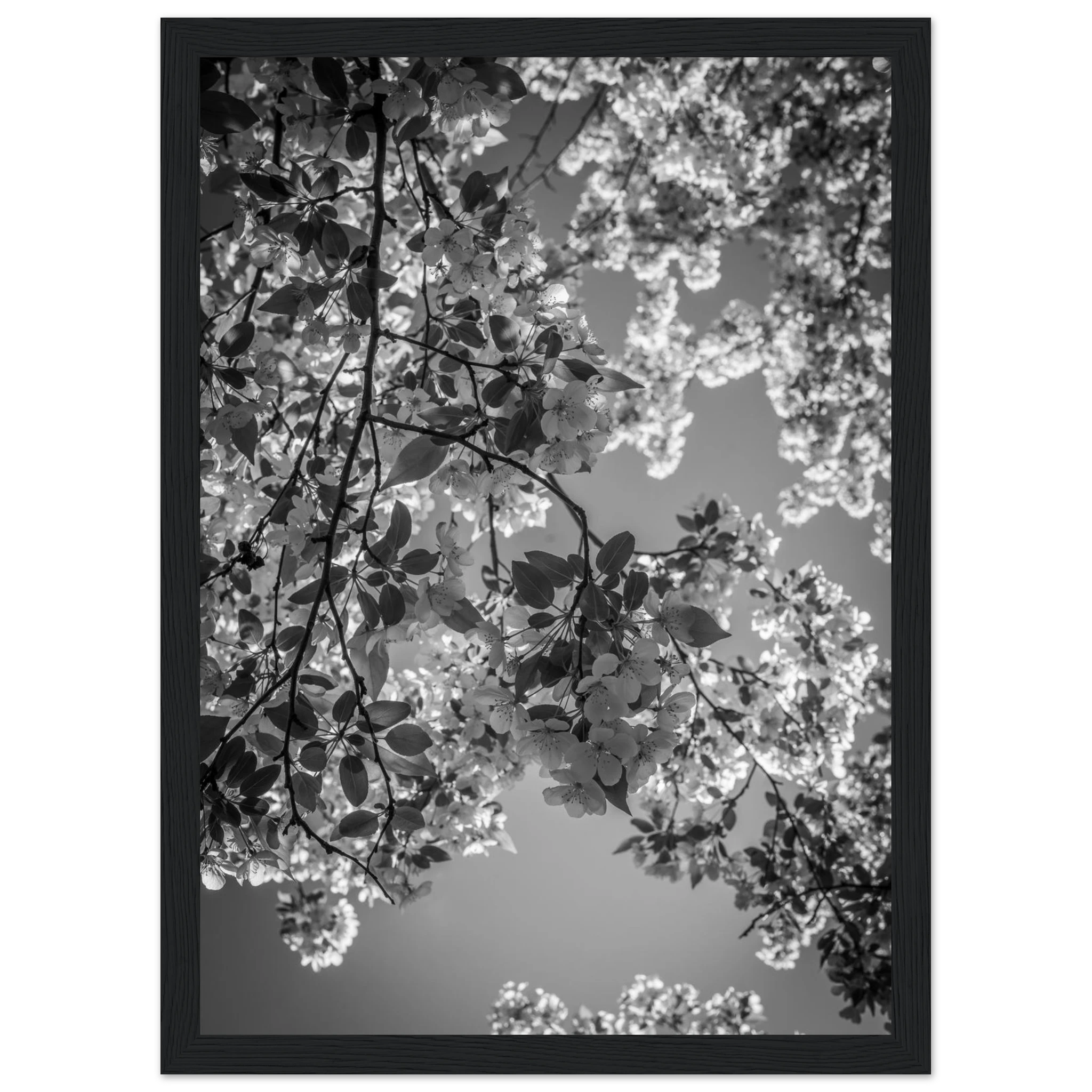 92dda5d1-9719-4f80-8665-80f593480b3b