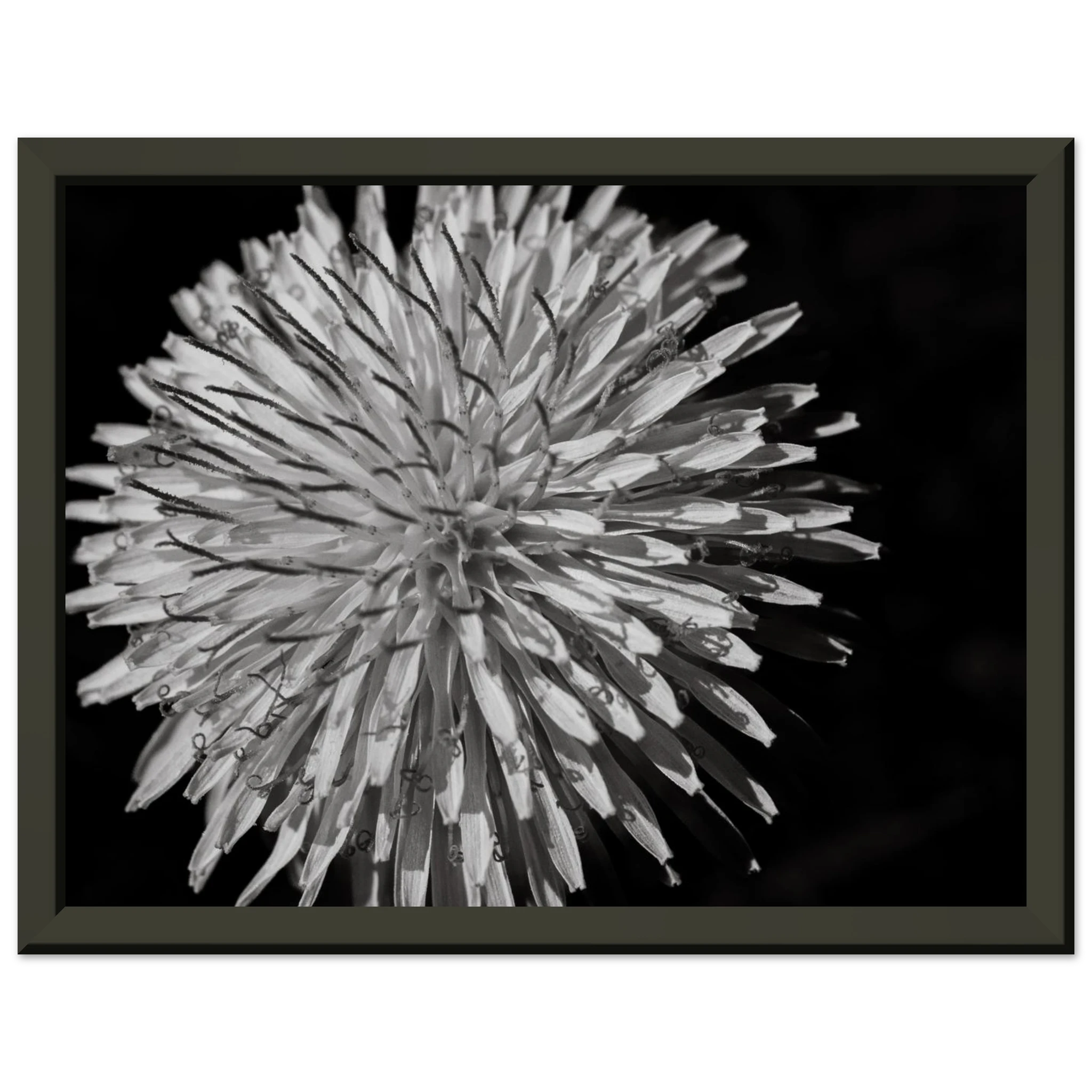 93457a26-bf15-4ee9-a2af-8846e1c69d15