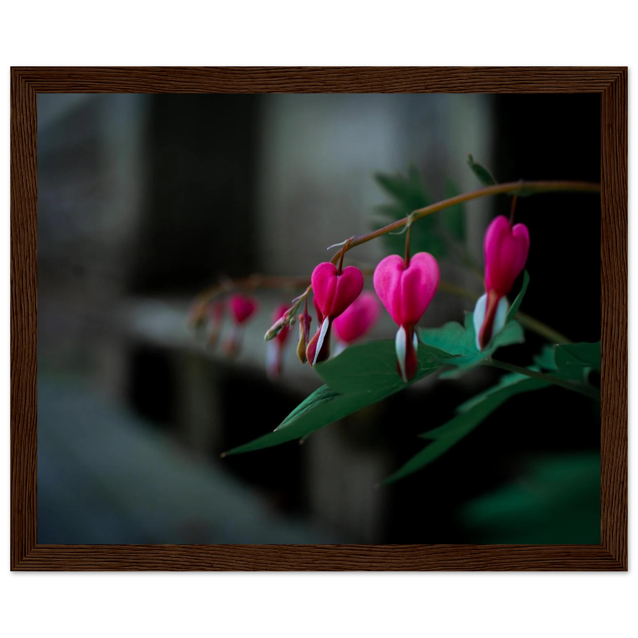 9362b75f-05f3-48ec-a7aa-ca25aae3604b
