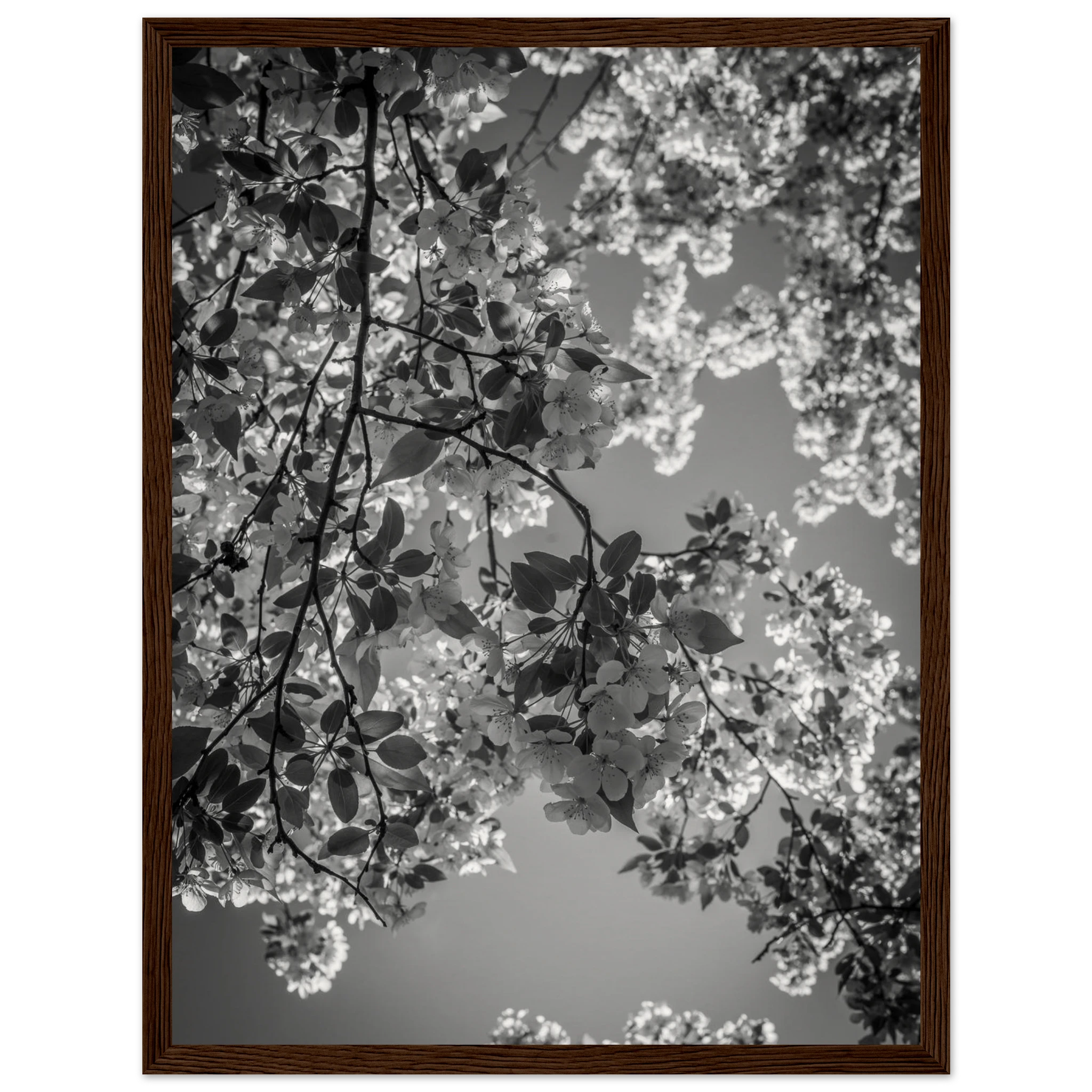 93db0774-fe00-47b3-887e-7098af764a4e