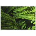 940725ac-2c22-4ce6-8f2a-c933f511d172