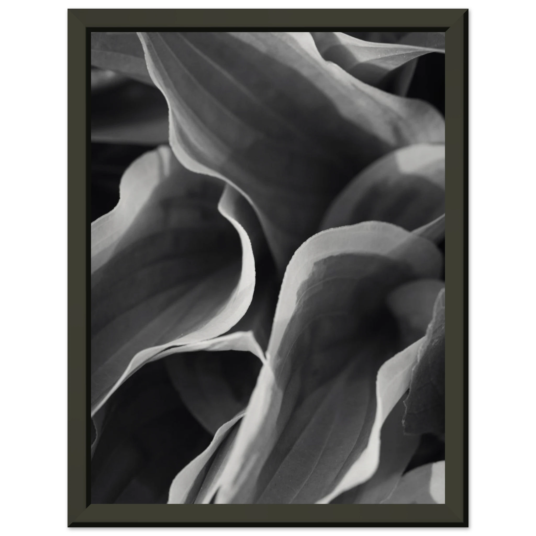 95503c18-5c47-47e7-bd12-8934e1fd48a9