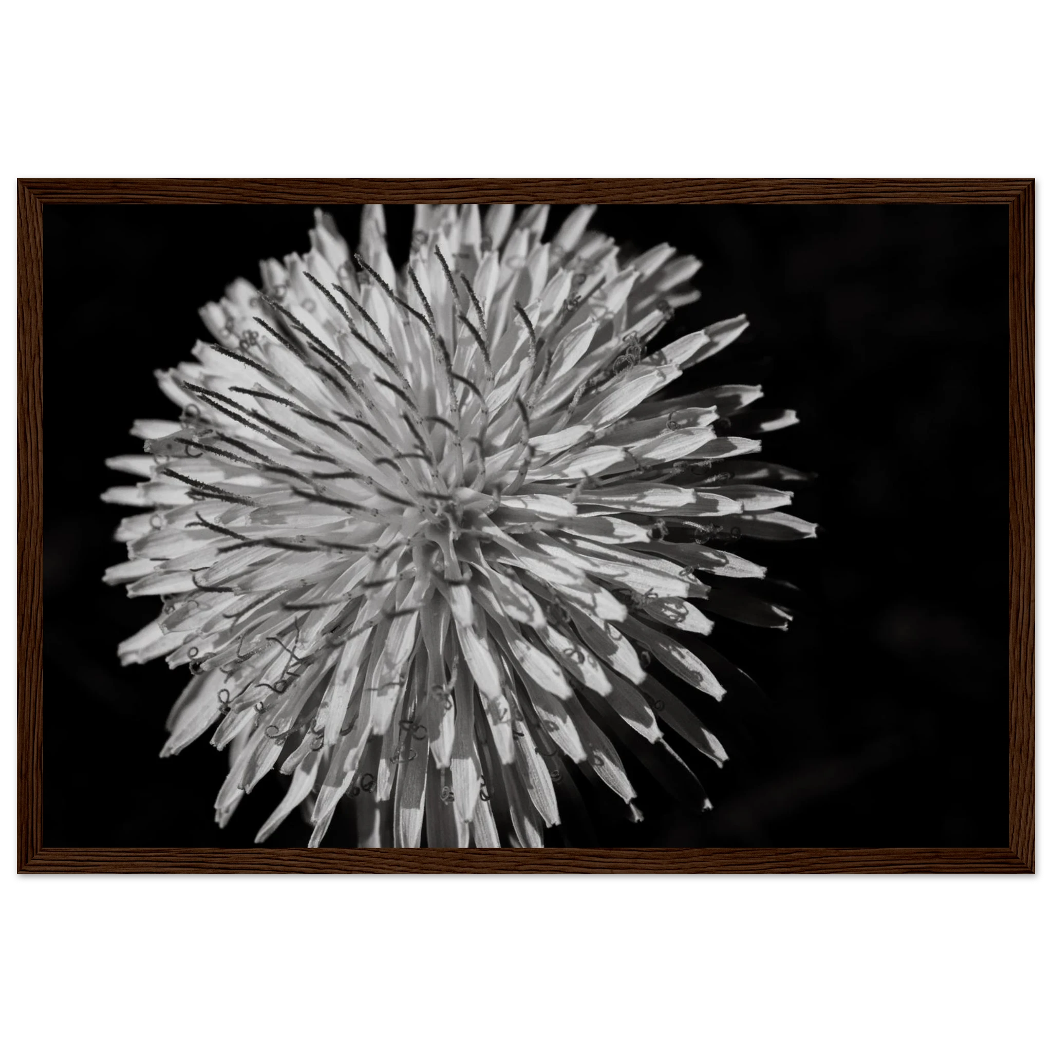 9731d0dd-49d2-4818-afa5-4bab28b41fab